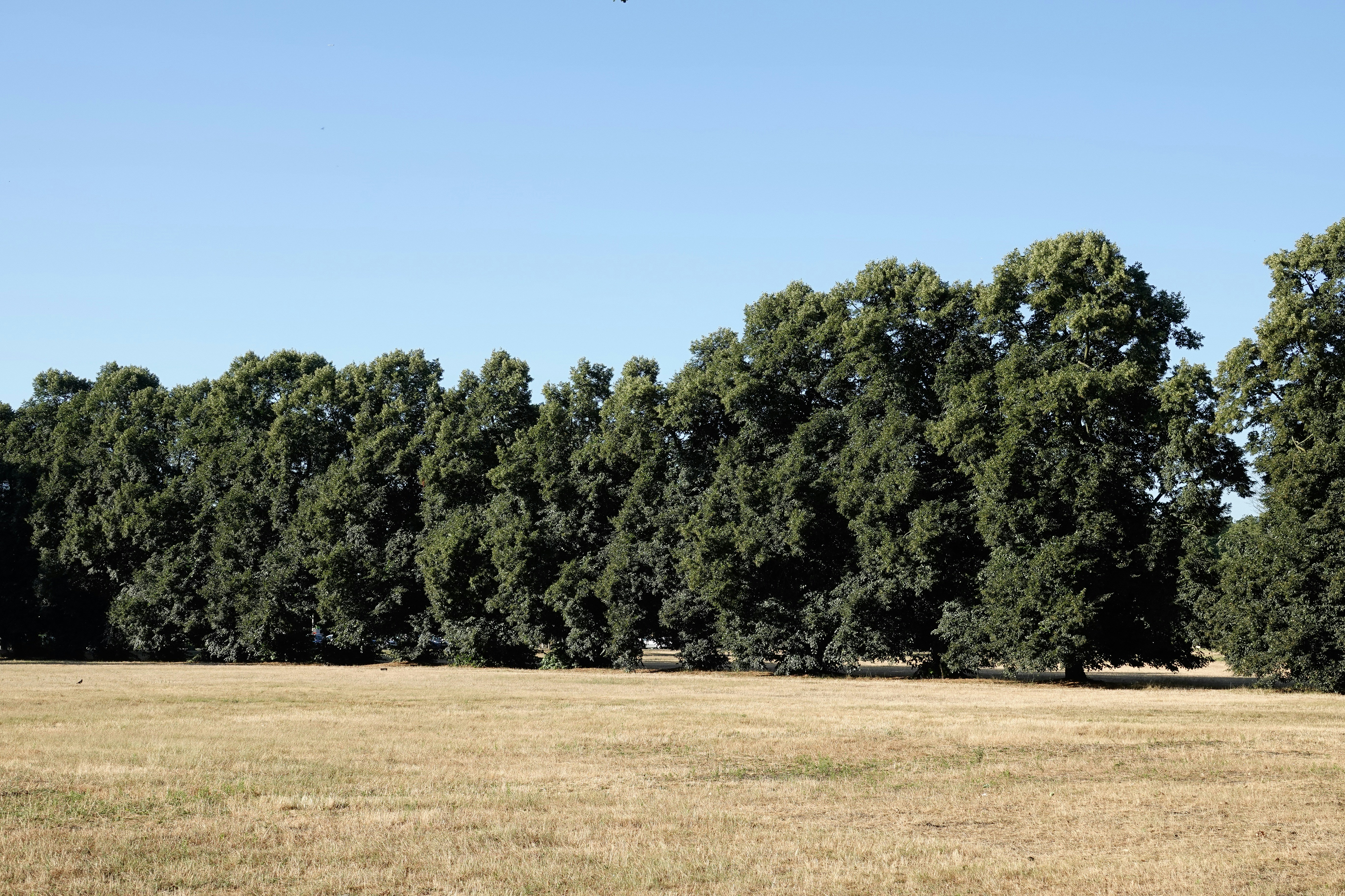 Photo by hooverpaul55