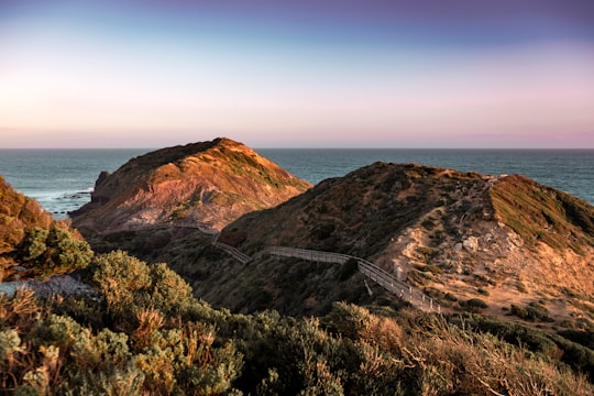 green and brown mountain beside sea during daytime in Cape Schanck VIC Australia