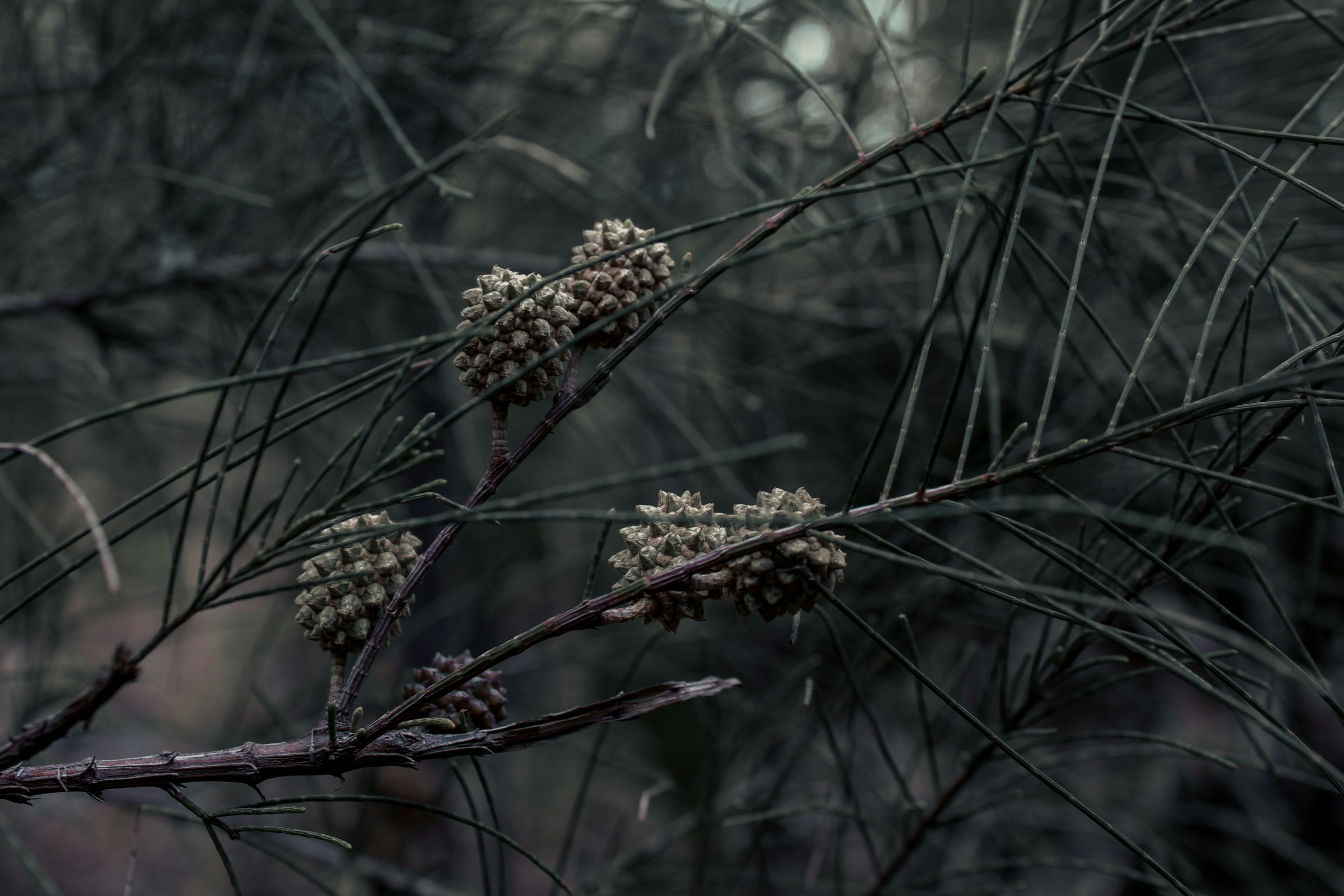 Photo by visualsbyabdul