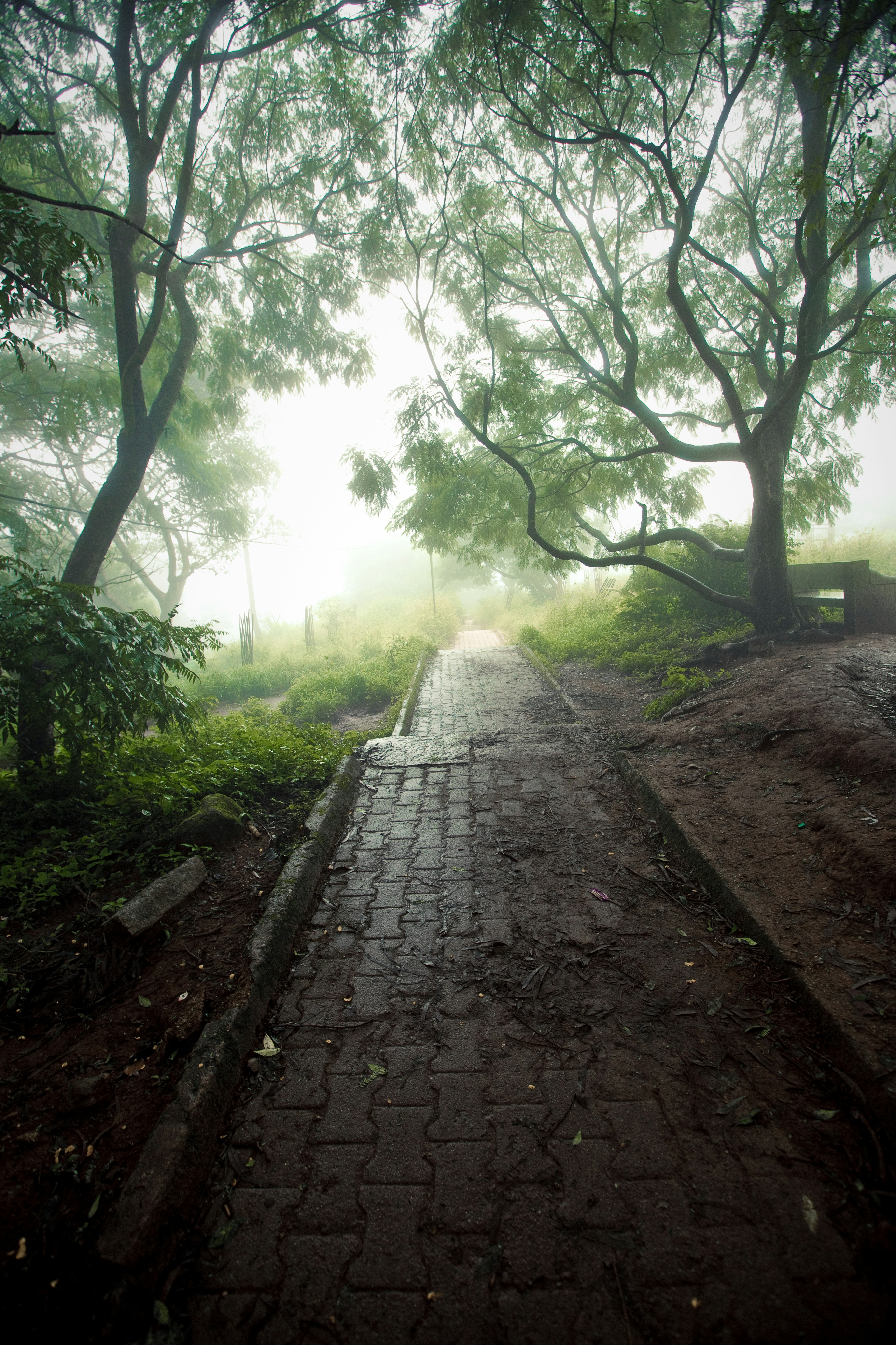 Photo by darklabsindia