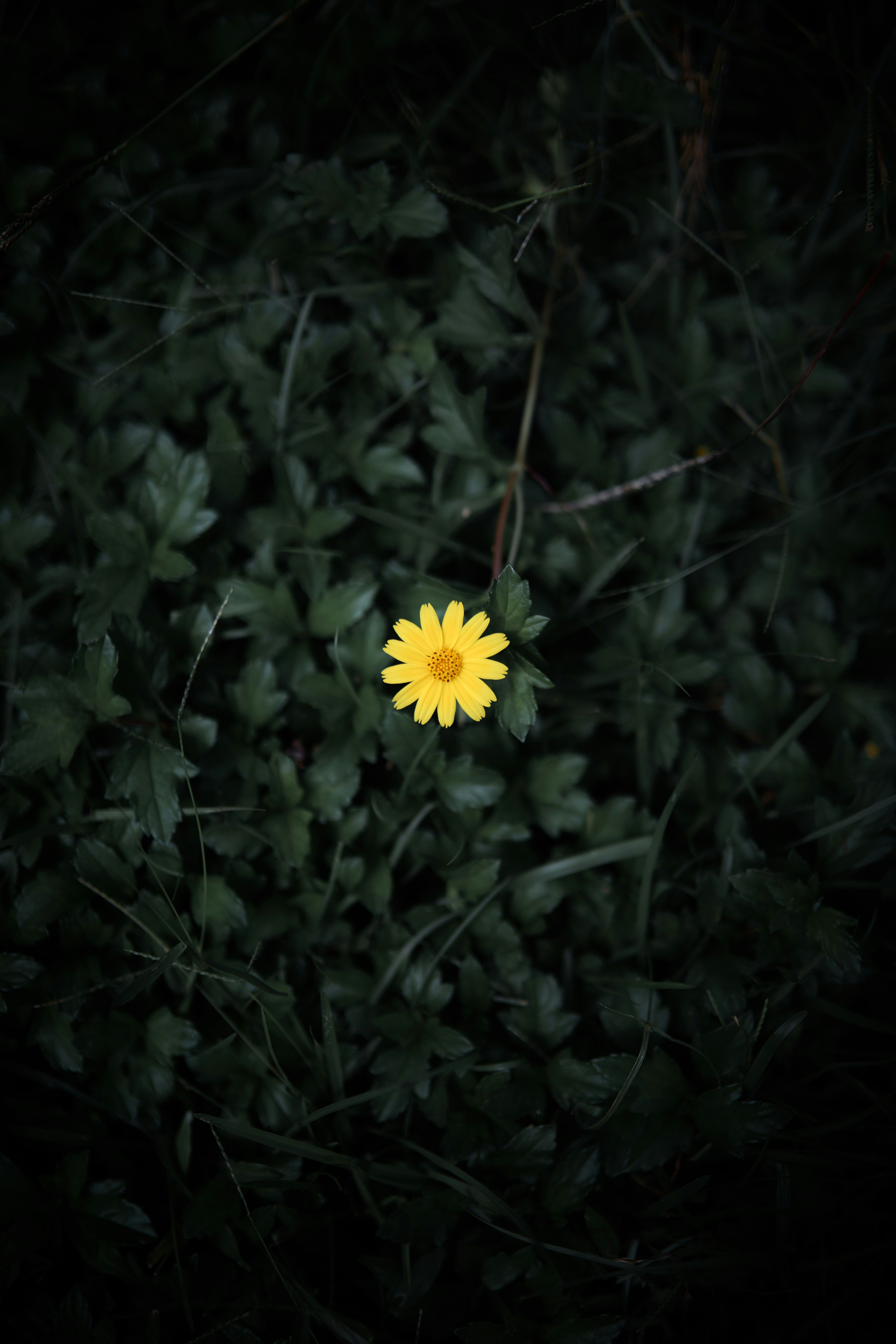Photo by andyadcon