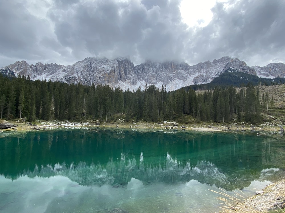 green lake surrounded by green trees and mountain under white clouds and blue sky during daytime