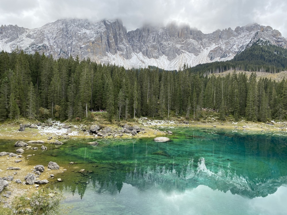 green pine trees near lake and snow covered mountain during daytime