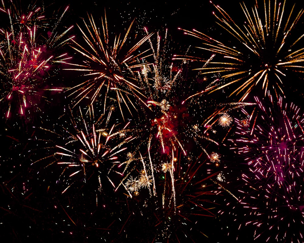 red and white fireworks during nighttime