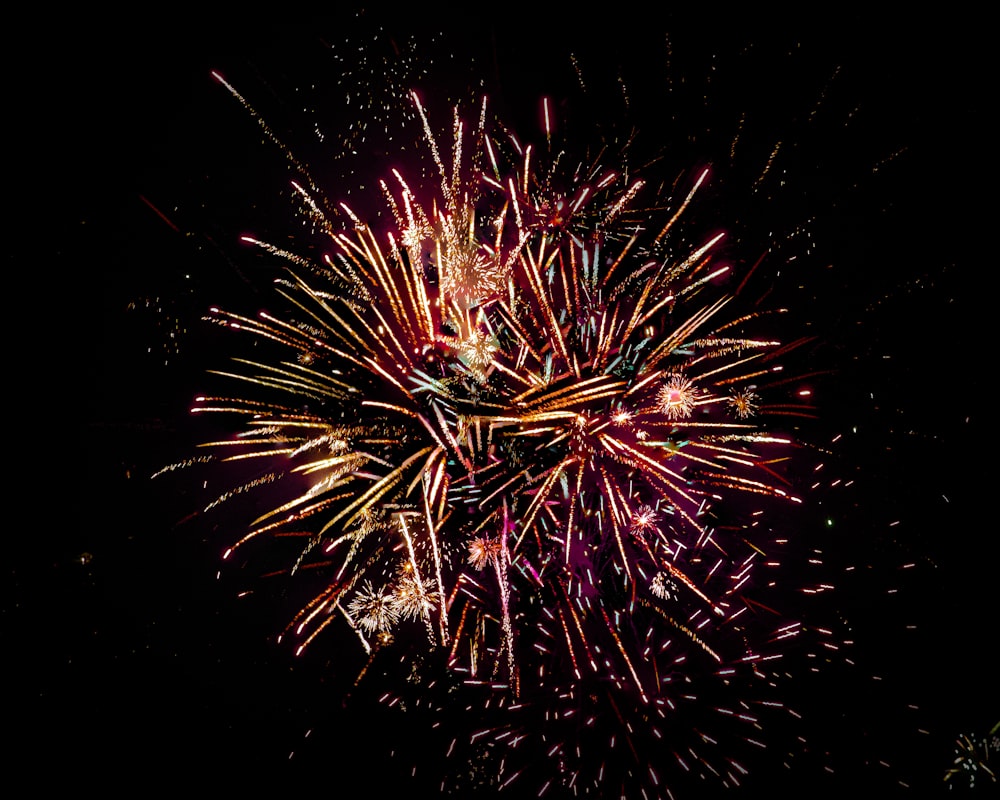 red and white fireworks display during nighttime