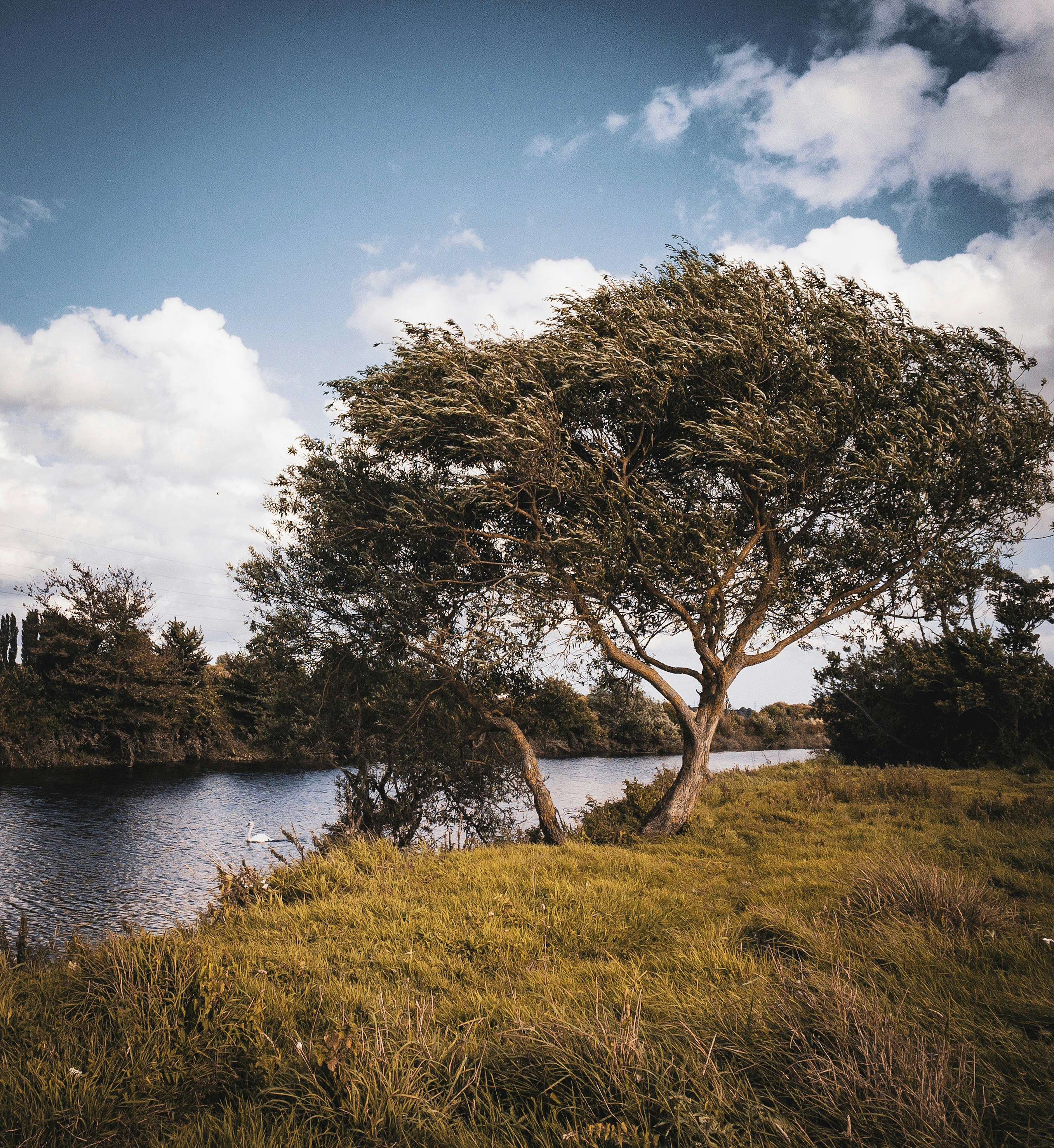 Photo by loyola_demelo