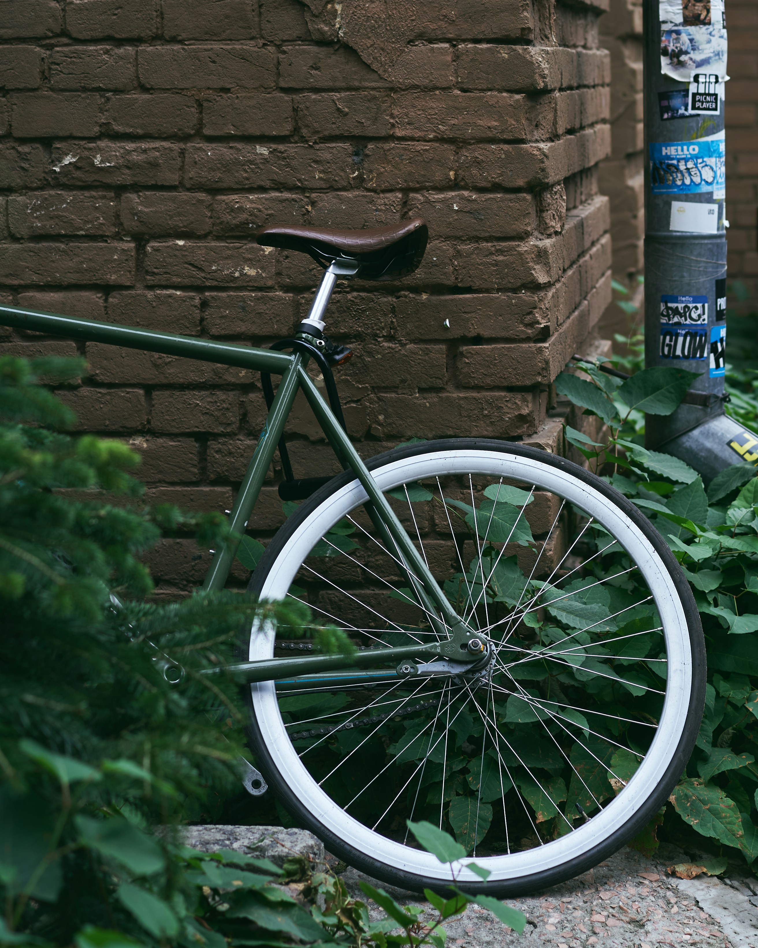 Photo by wonderland8