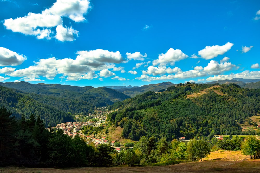 green trees on mountain under blue sky during daytime