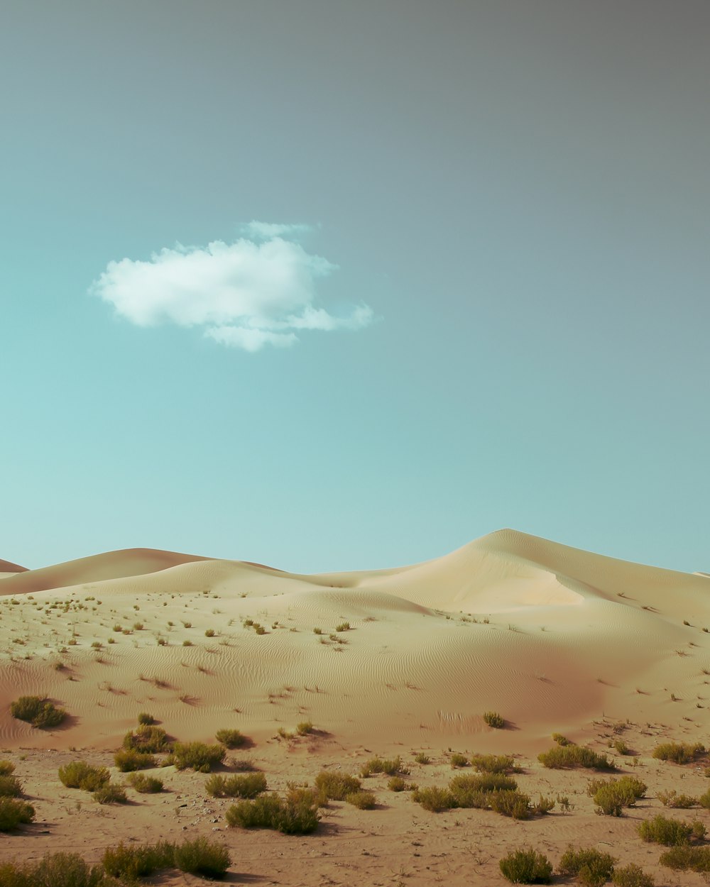 brown sand under blue sky during daytime