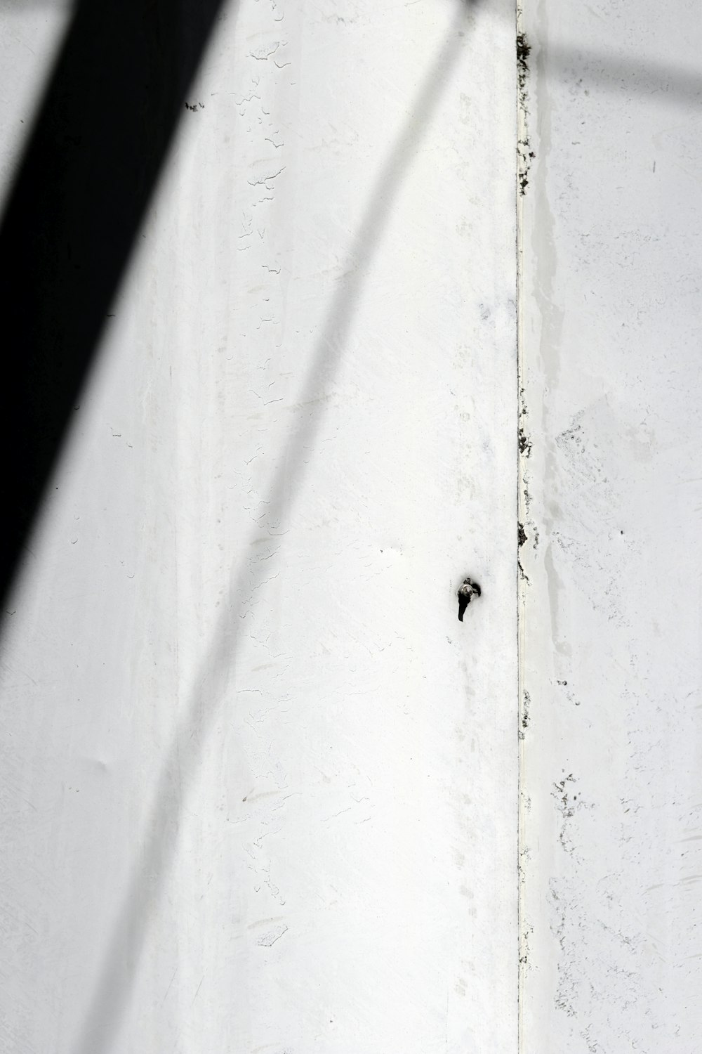 white wooden door with black handle