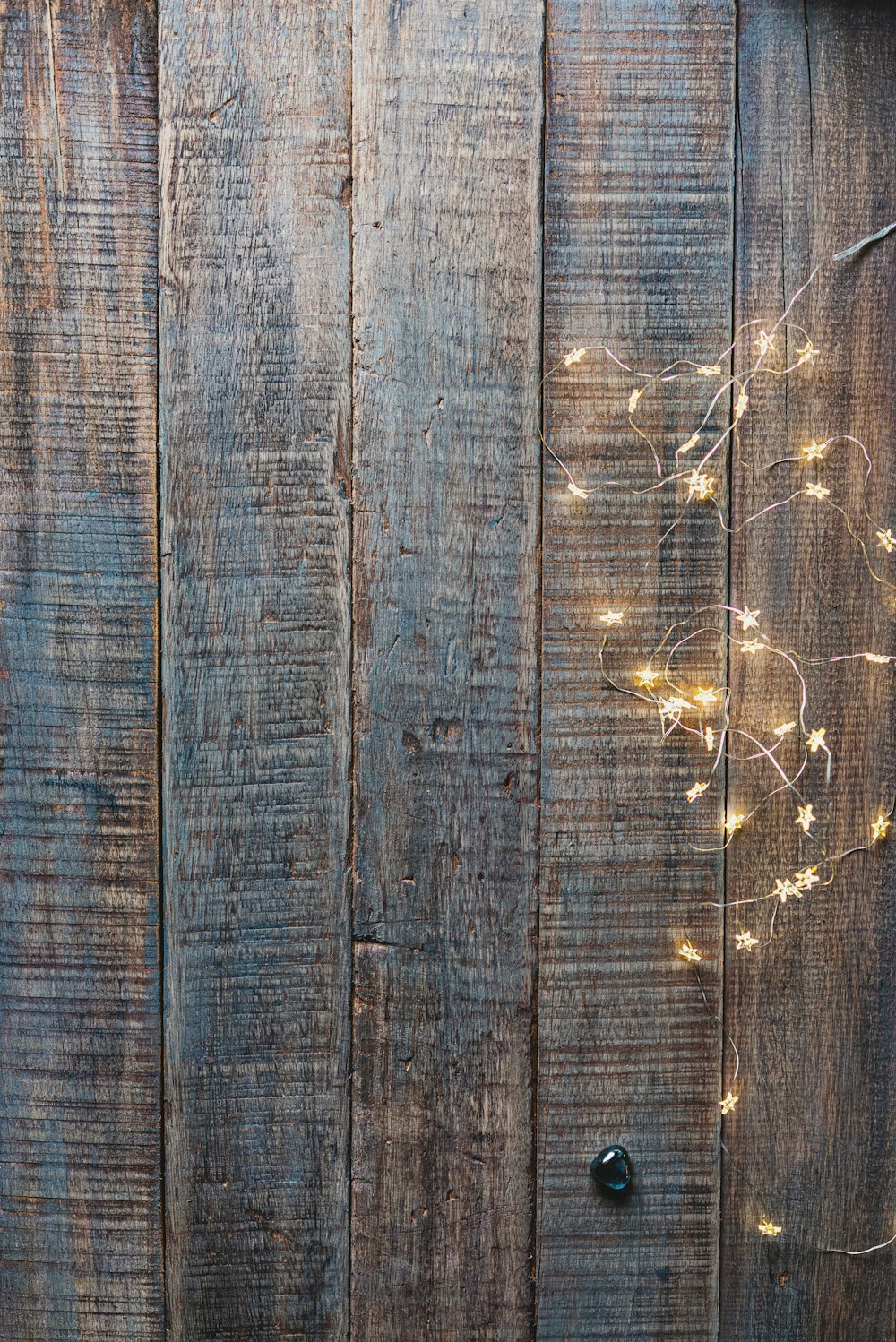 white spider web on brown wooden fence