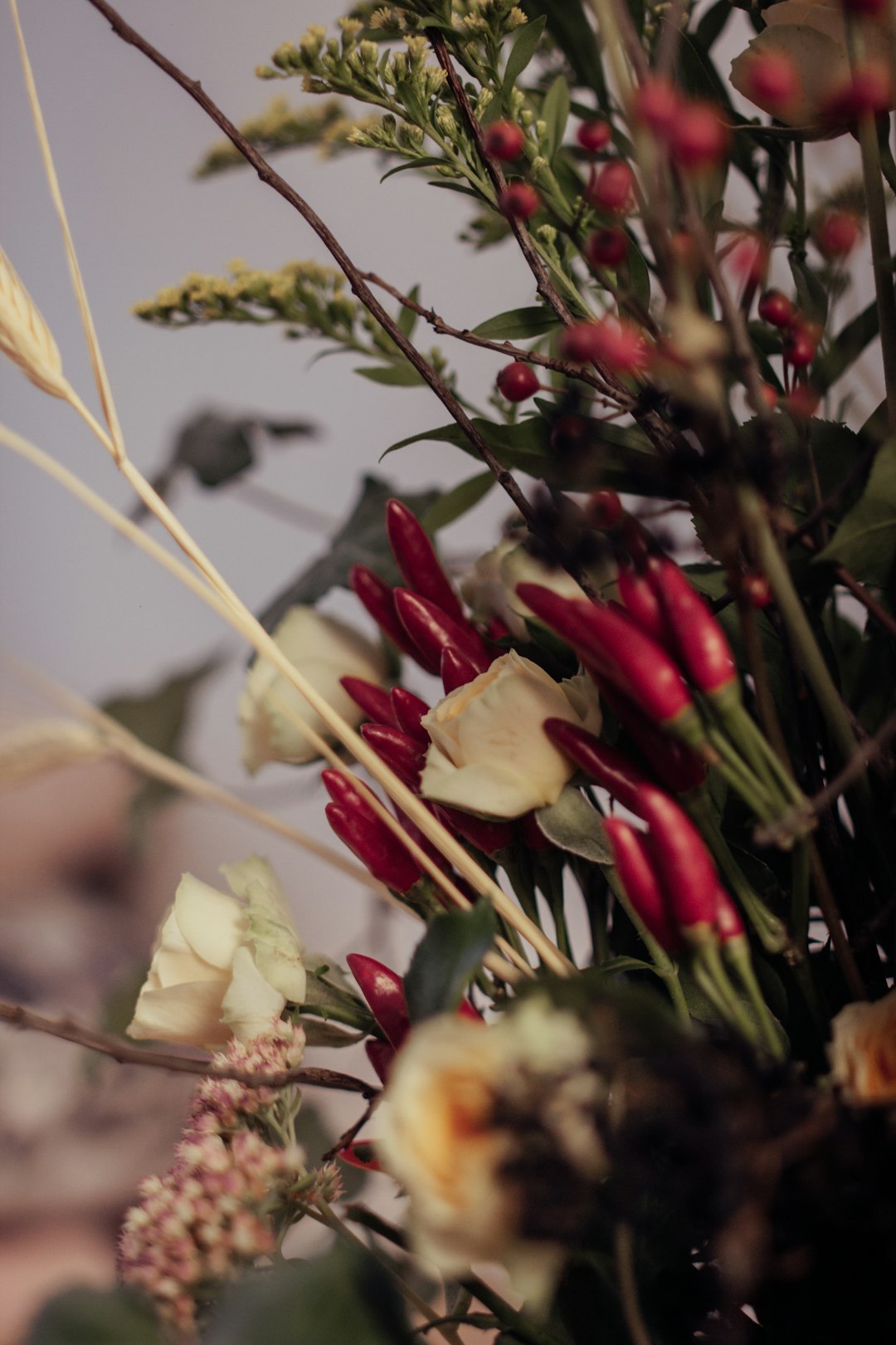 white and red flowers with green leaves