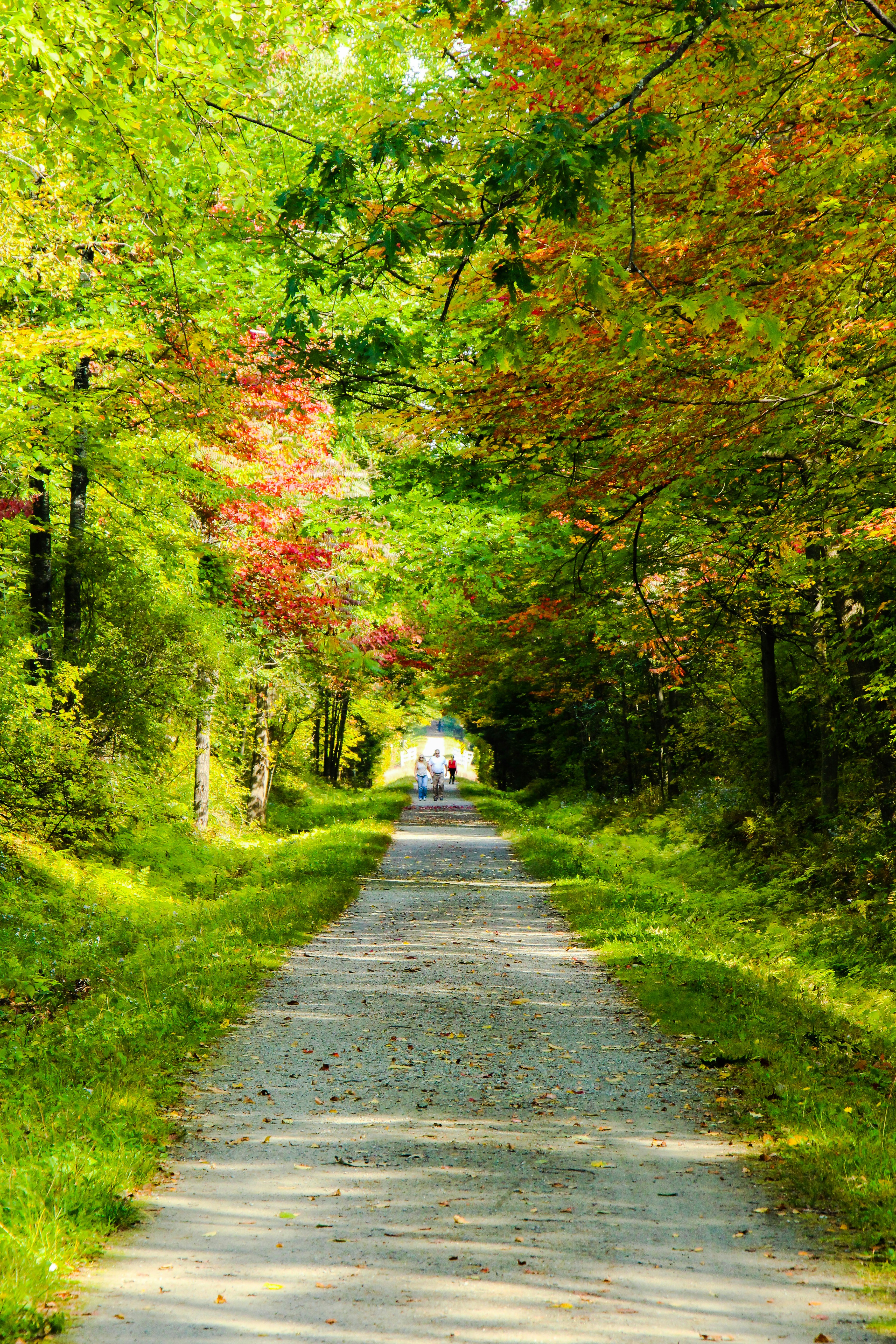 Photo by colleencolephotography