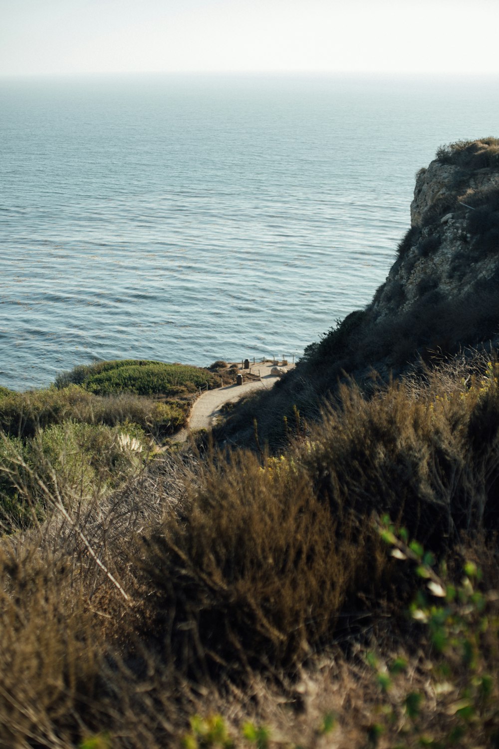 green grass on brown rock formation near body of water during daytime