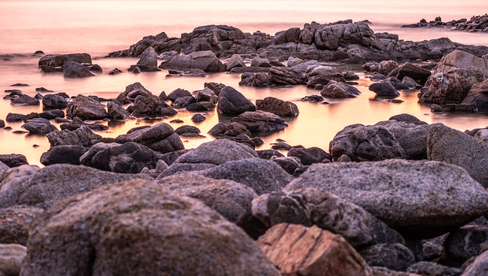 black and gray rocks on beach during daytime