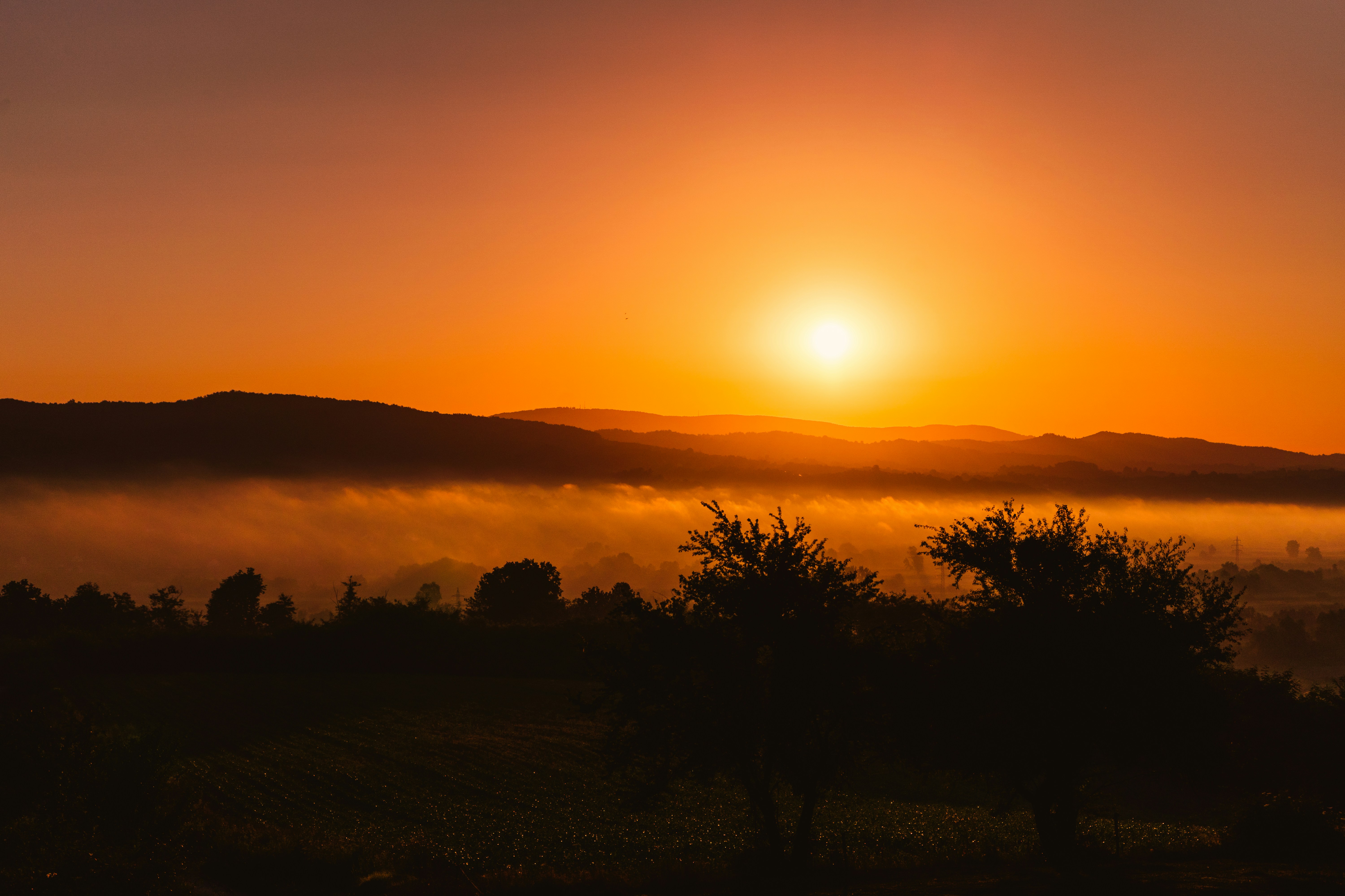 Photo by thestefankostic