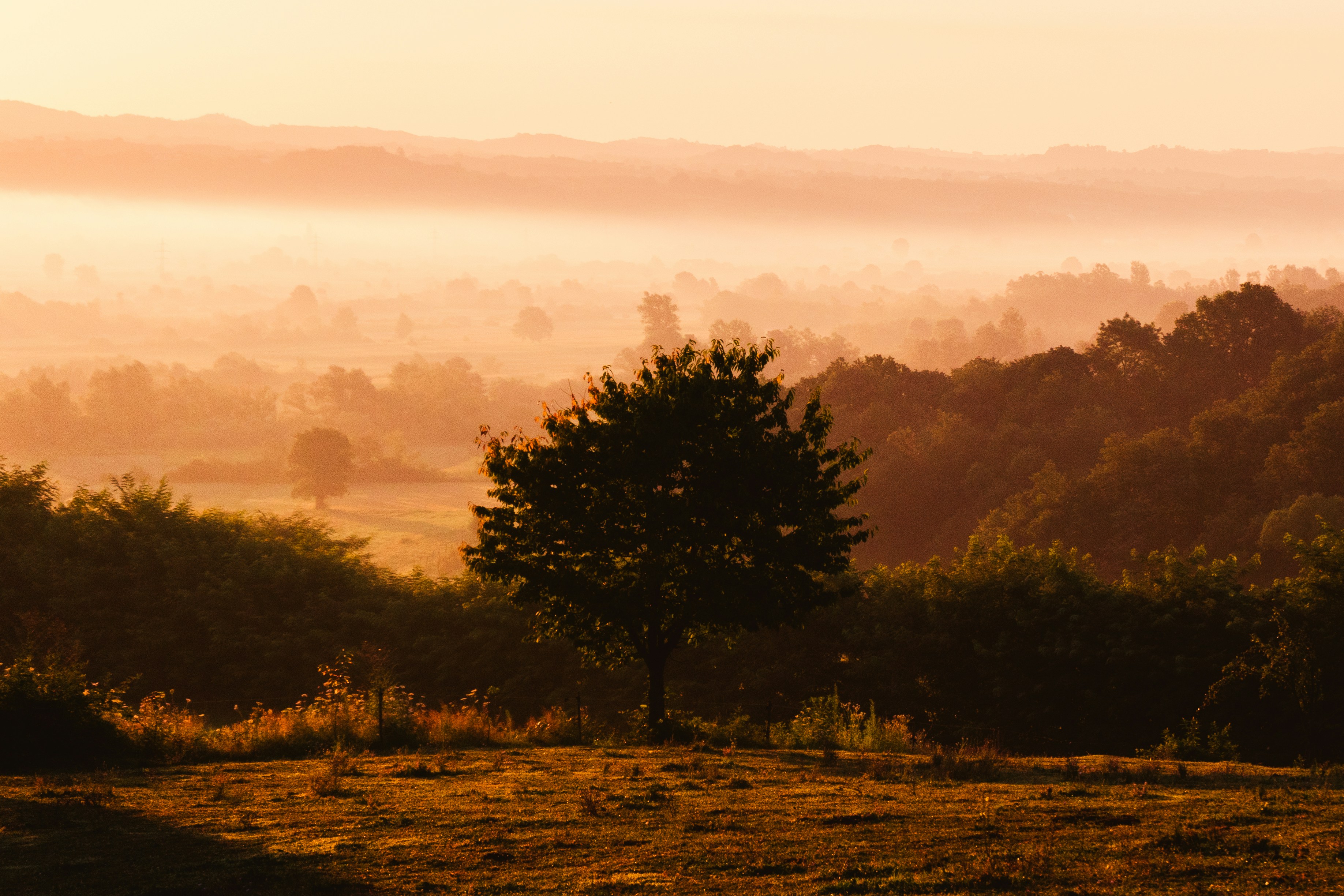 Photo by thestefankostic