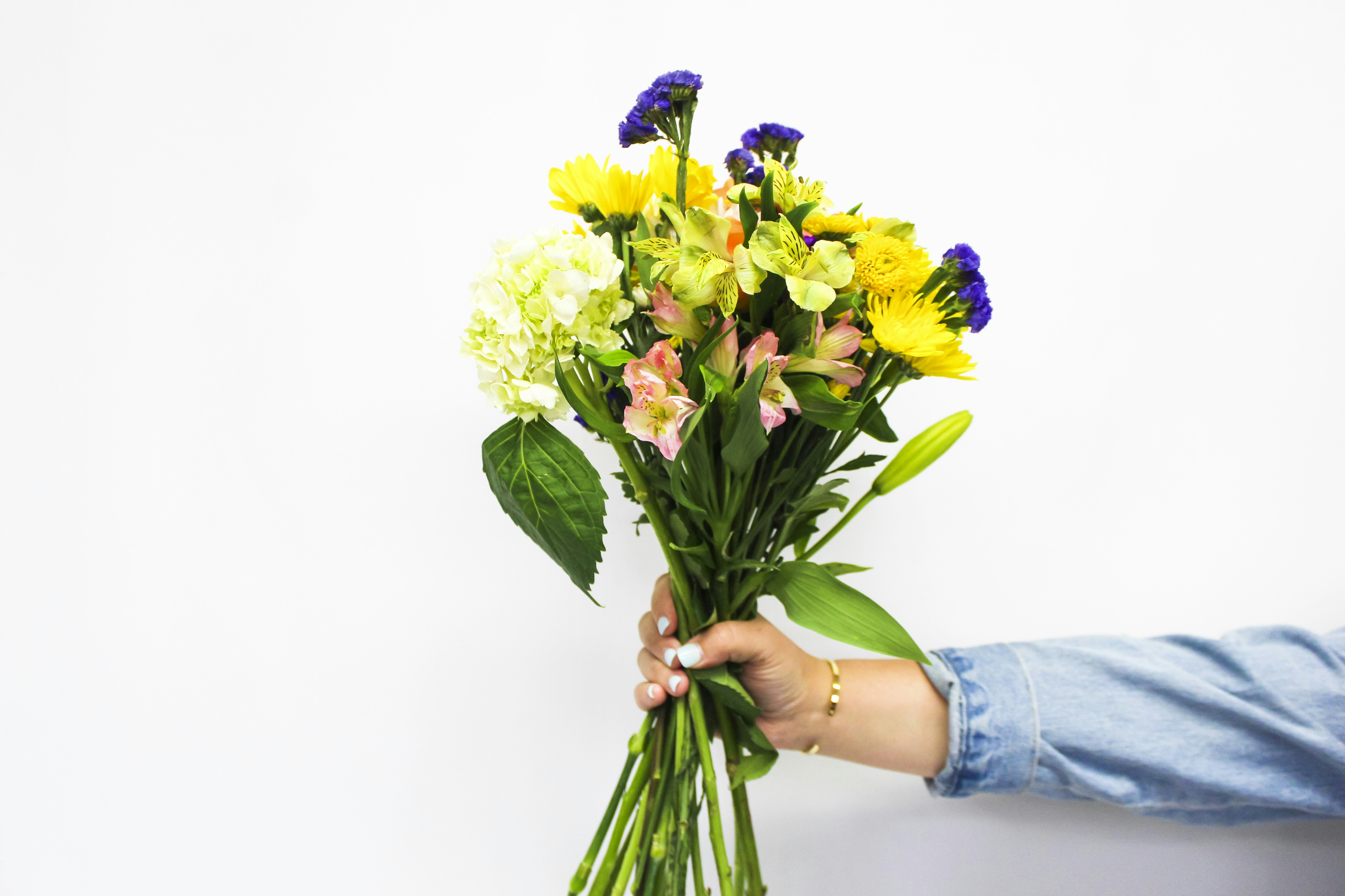 Yellow And Purple Flower Bouquet Photo Free Plant Image On Unsplash