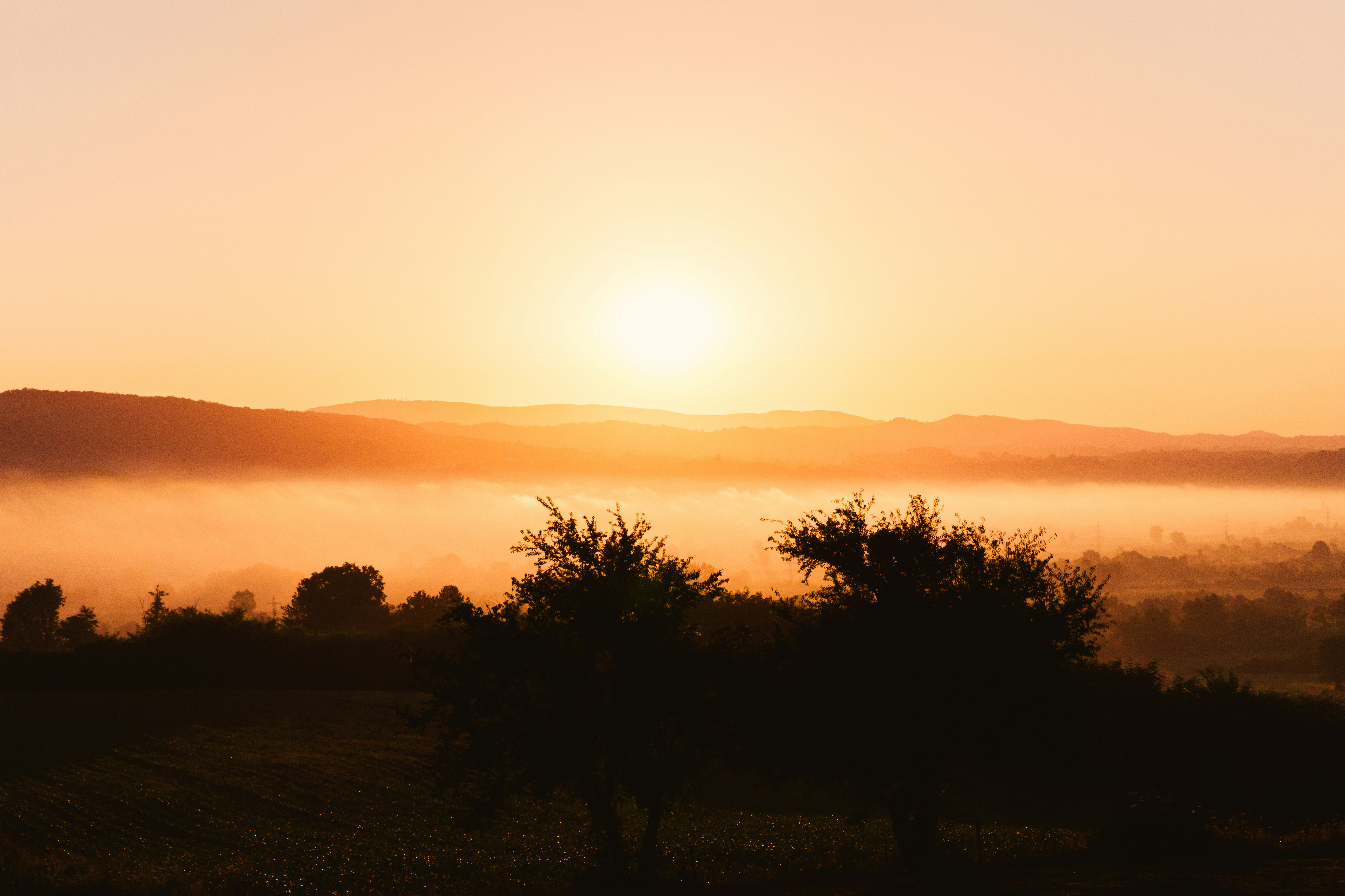 Photo by thestefankostic