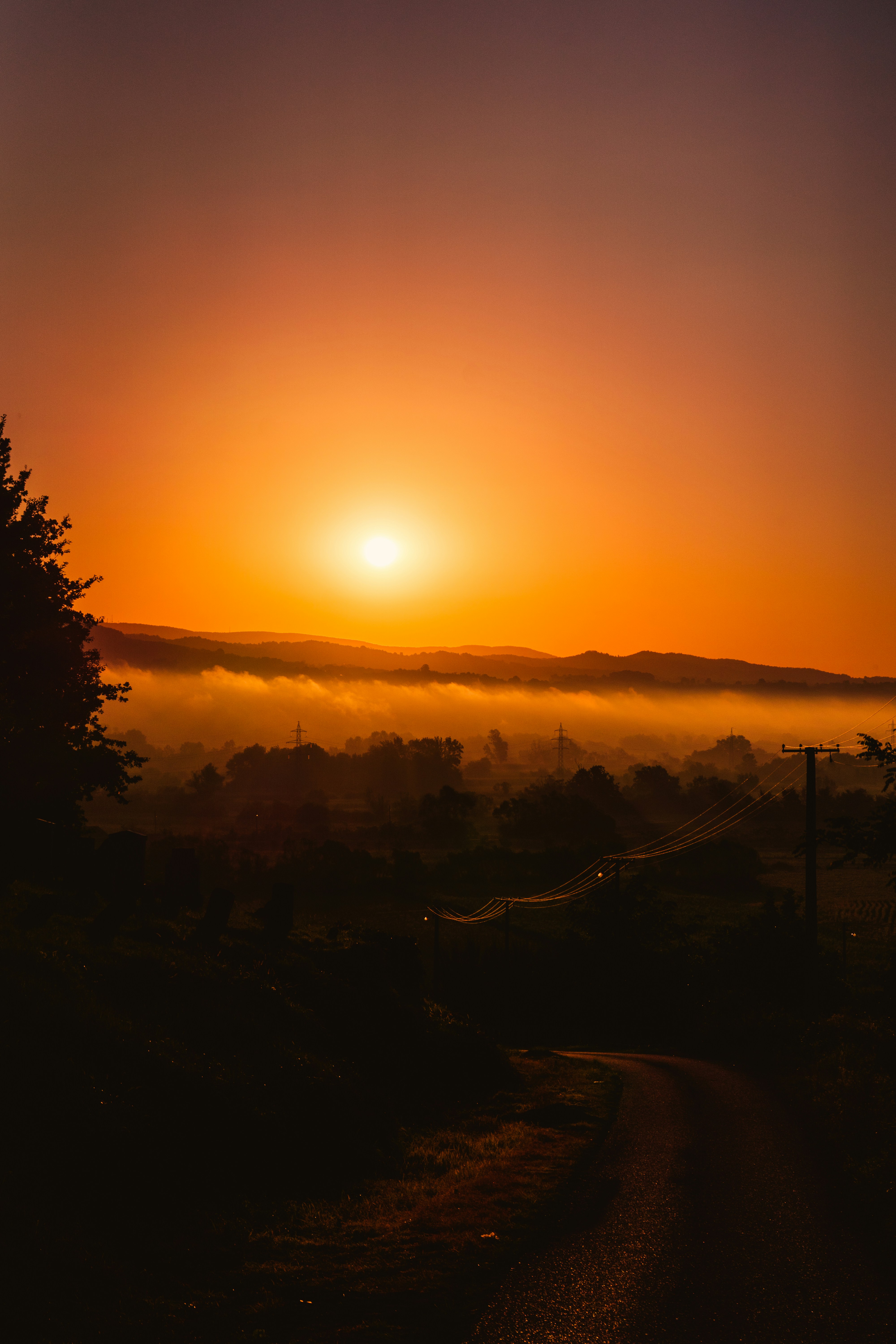 Photo by thestefankostic