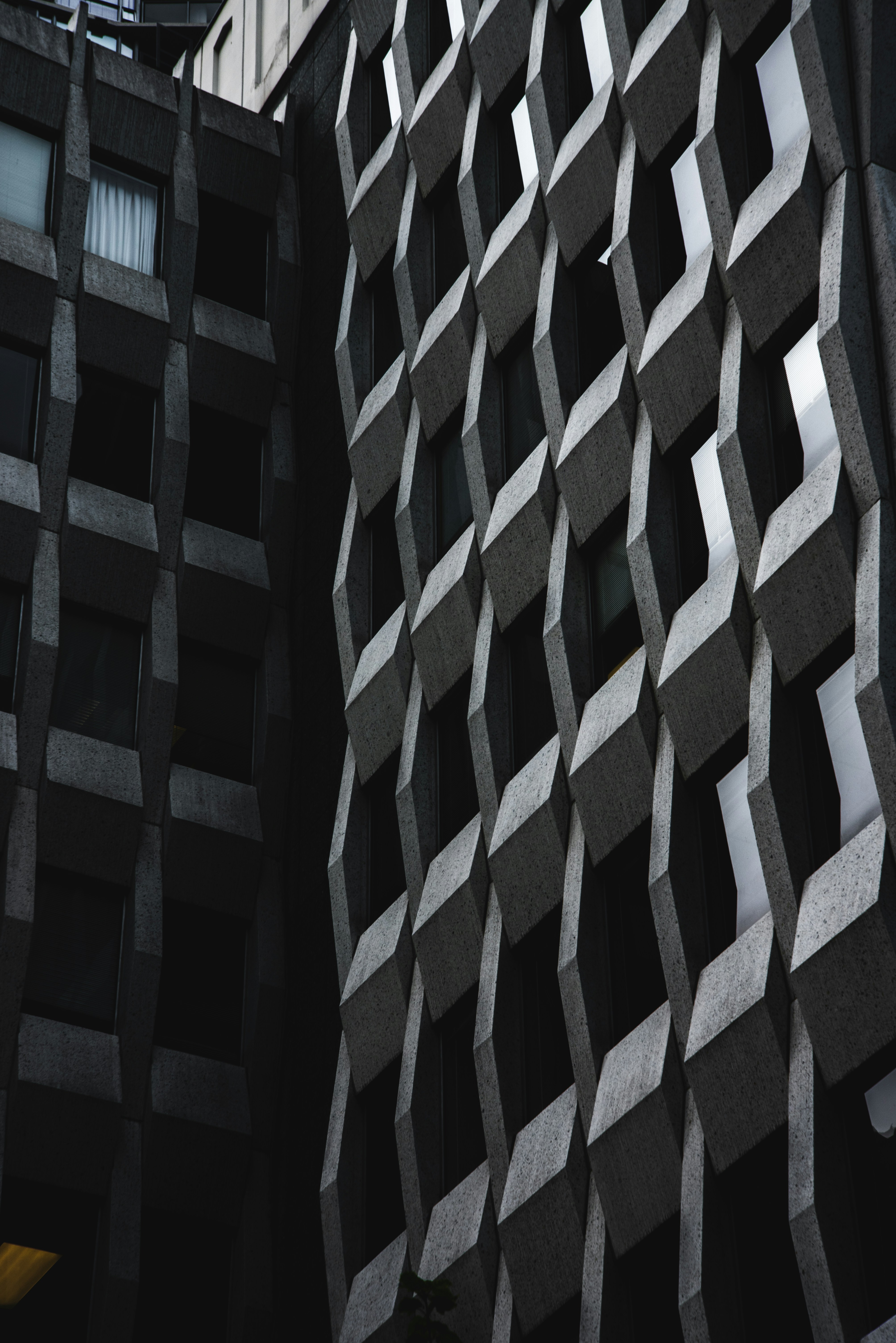 Photo by ryunosuke_kikuno