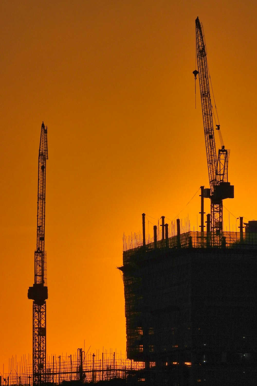 silhouette of crane during sunset