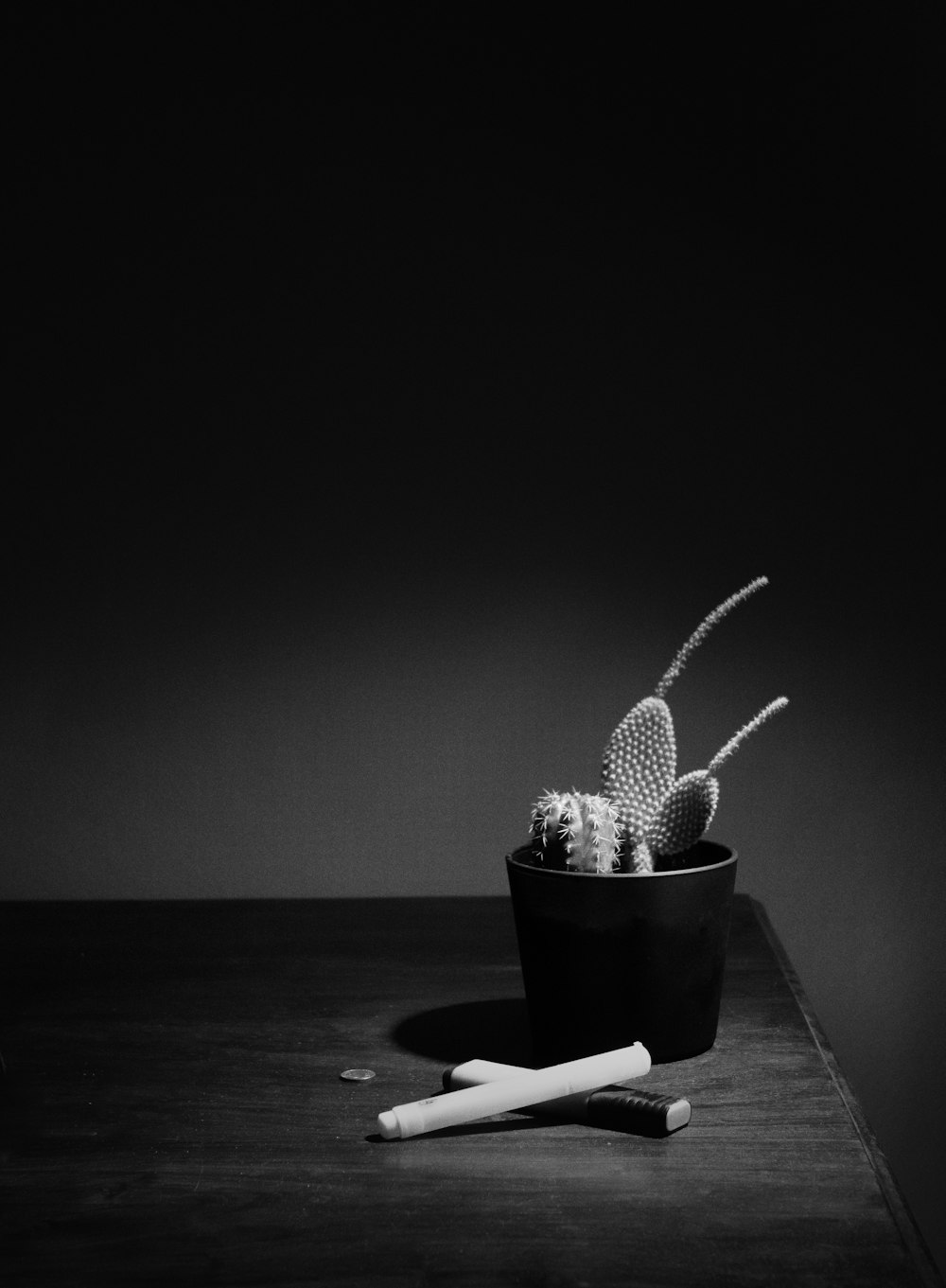 Foto en escala de grises de cactus en maceta negra