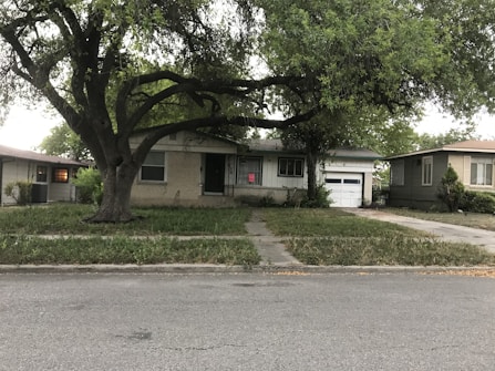 A suburban street view featuring a mid-century single-story house with a large tree in the front yard. The house has a detached garage and a small front lawn with overgrown grass. The neighboring houses are similar in style, with well-maintained exteriors.