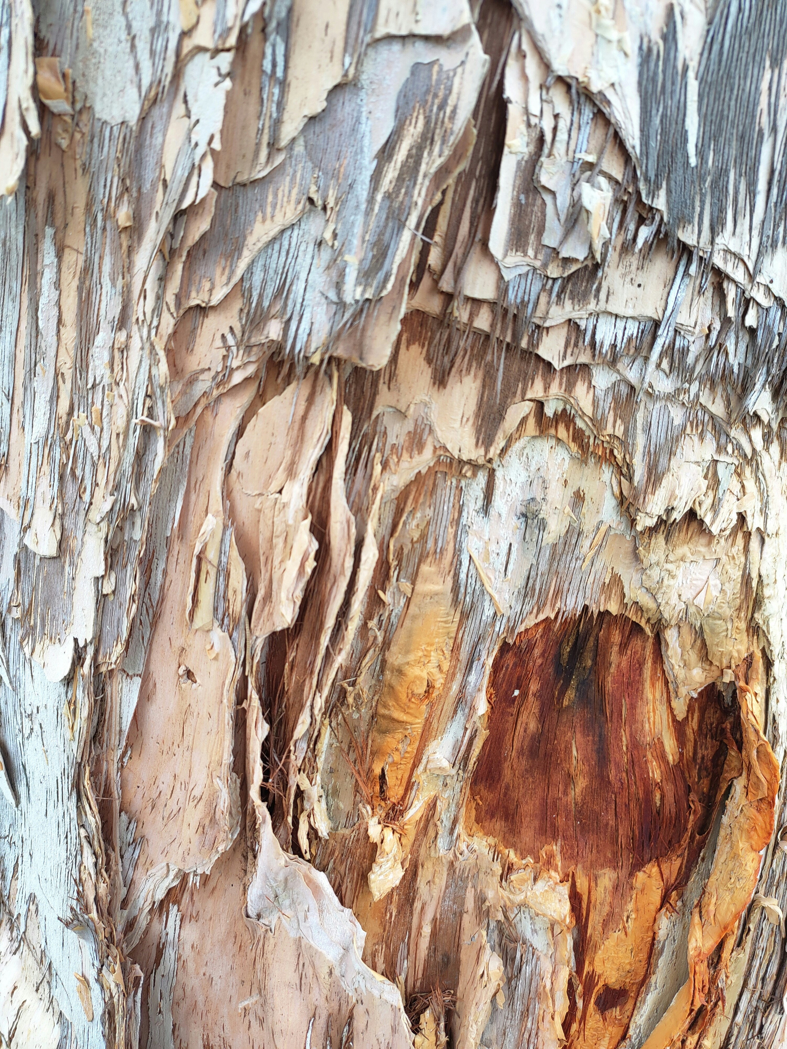 Photo by lithium_and_sodium