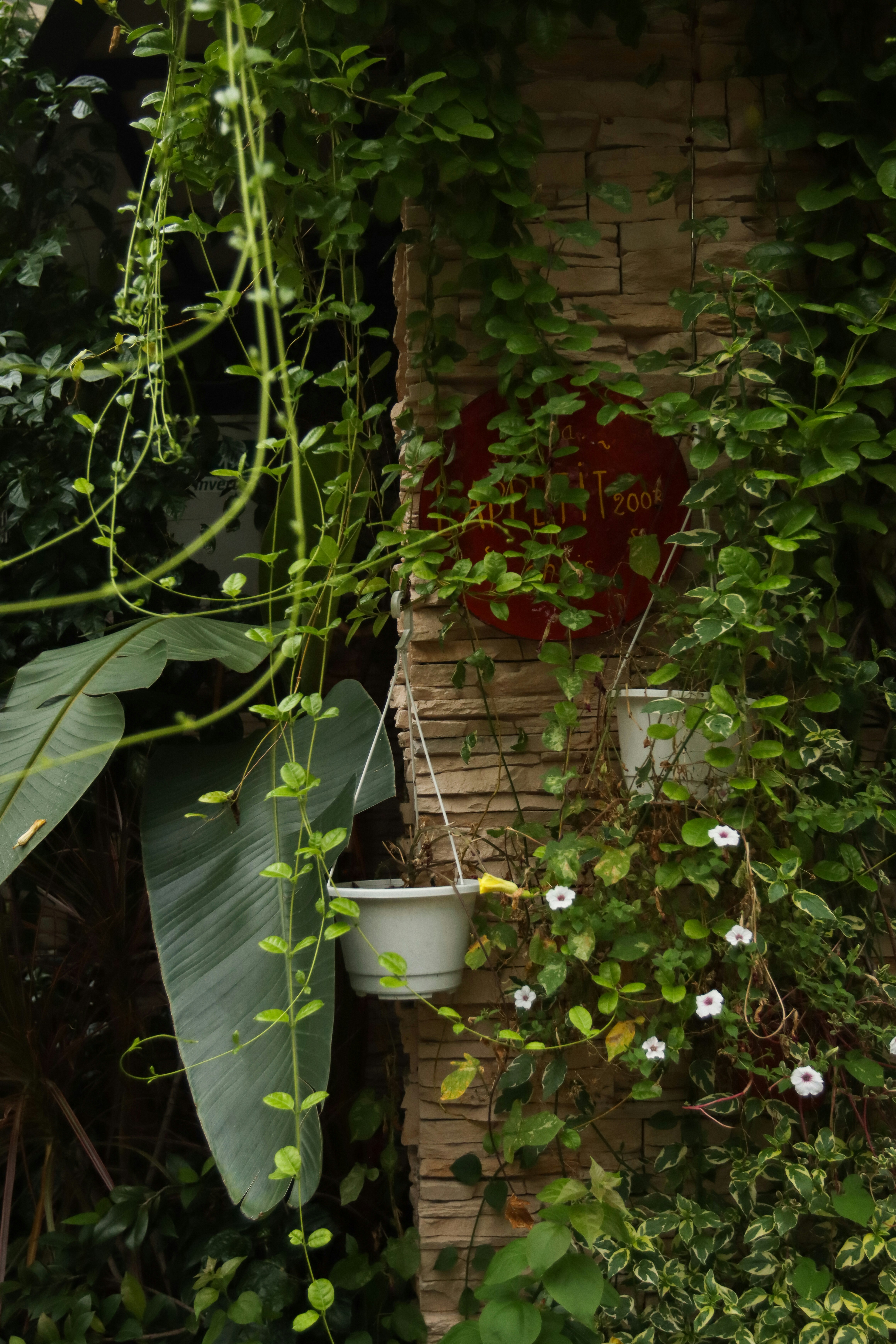 Photo by benjamin_1017