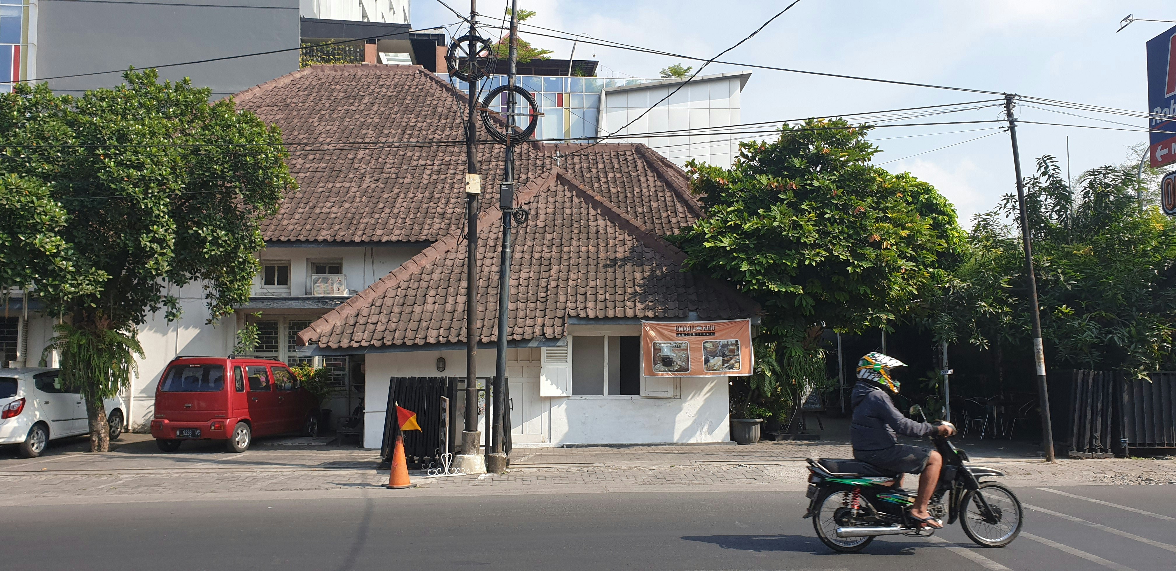 pohon hijau di samping rumah beton putih dan coklat