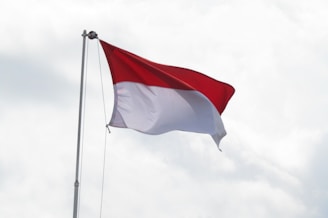 Indonesia Flag