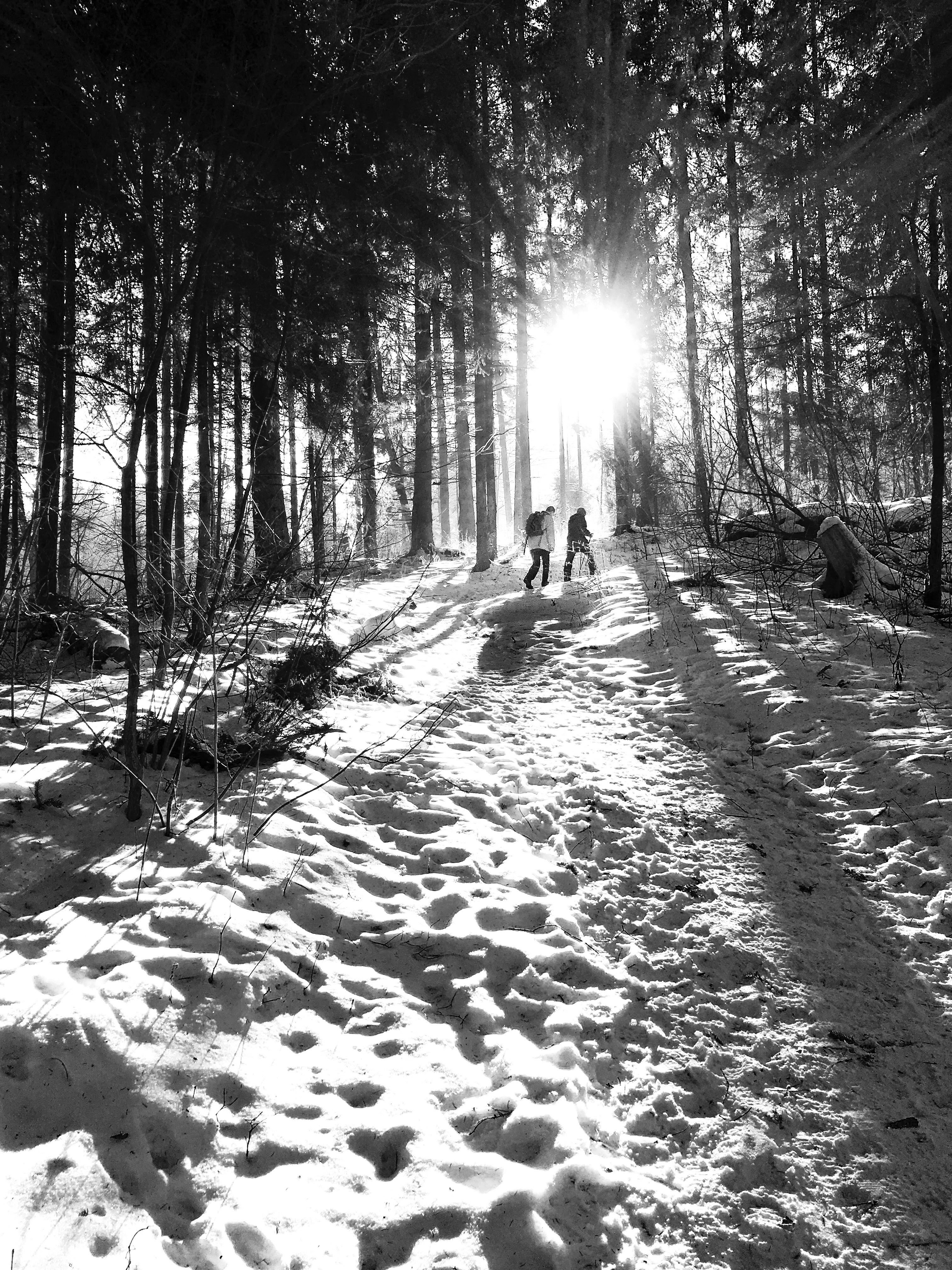 Photo by robin_schreiner