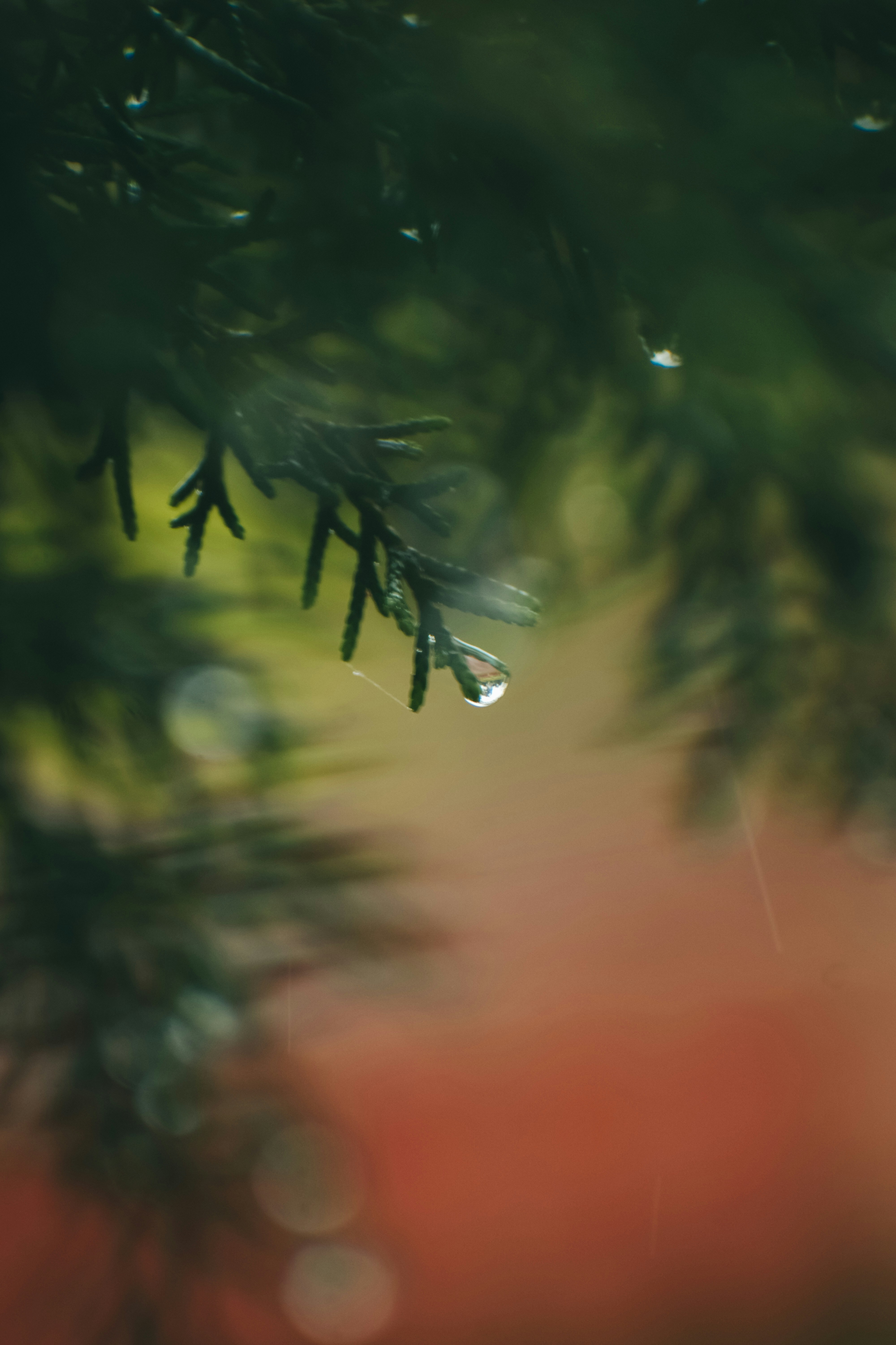 Photo by baraikshivam22