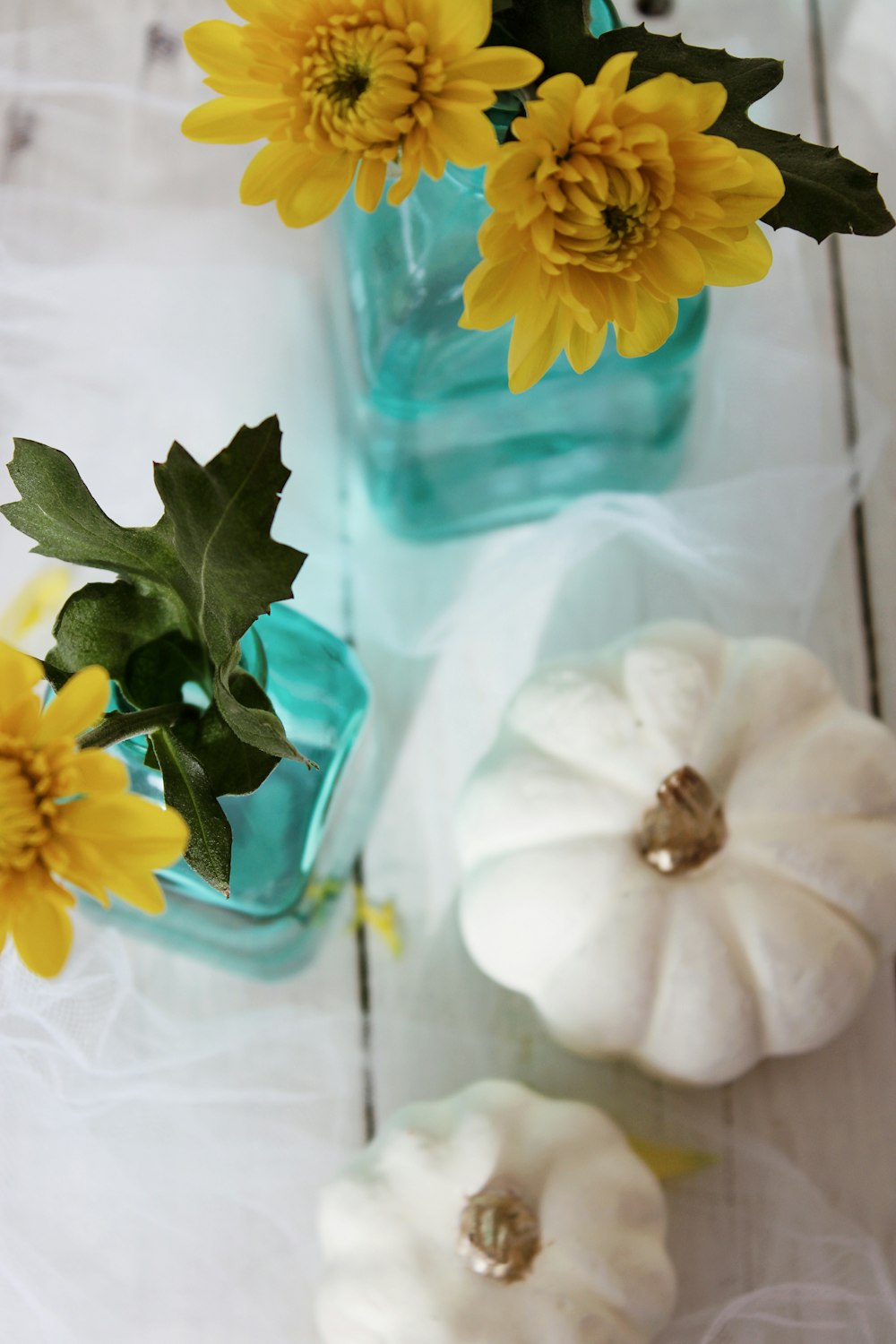 yellow and white flower on blue glass vase