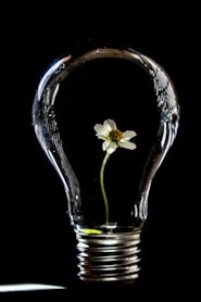 Stiberman Legal - The Importance of IP
