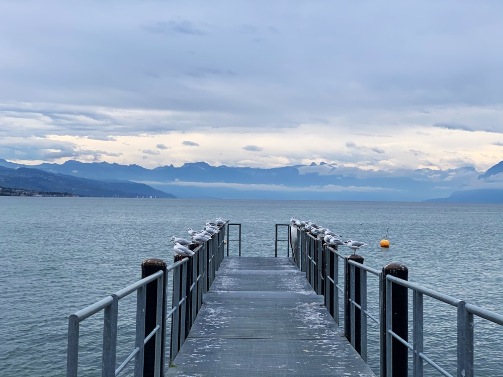 brown wooden dock on sea during daytime