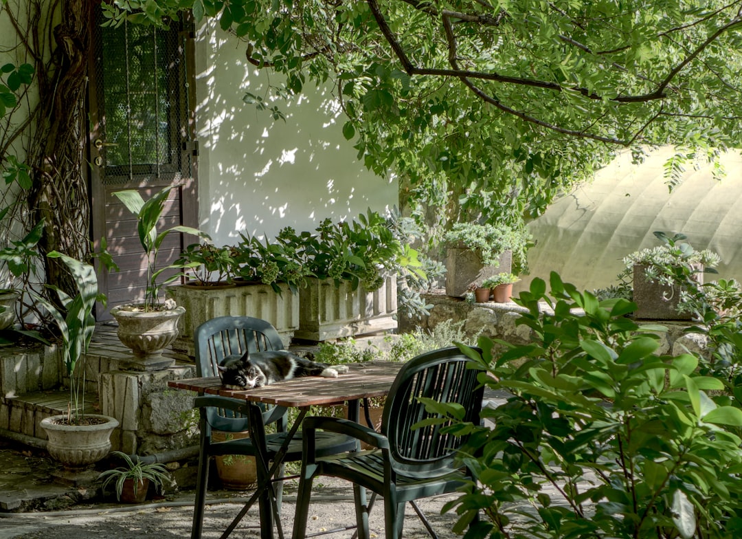 Relaxation with a shady seating area