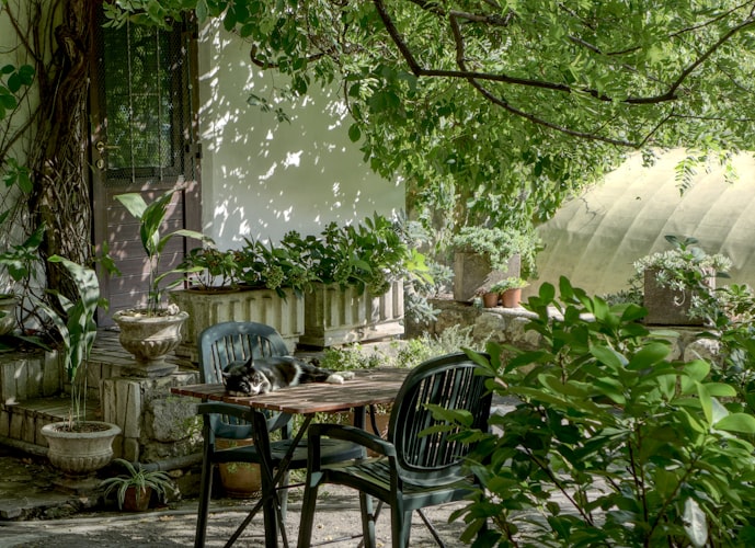 Interface d'intelligence artificielle pour la conception de jardin