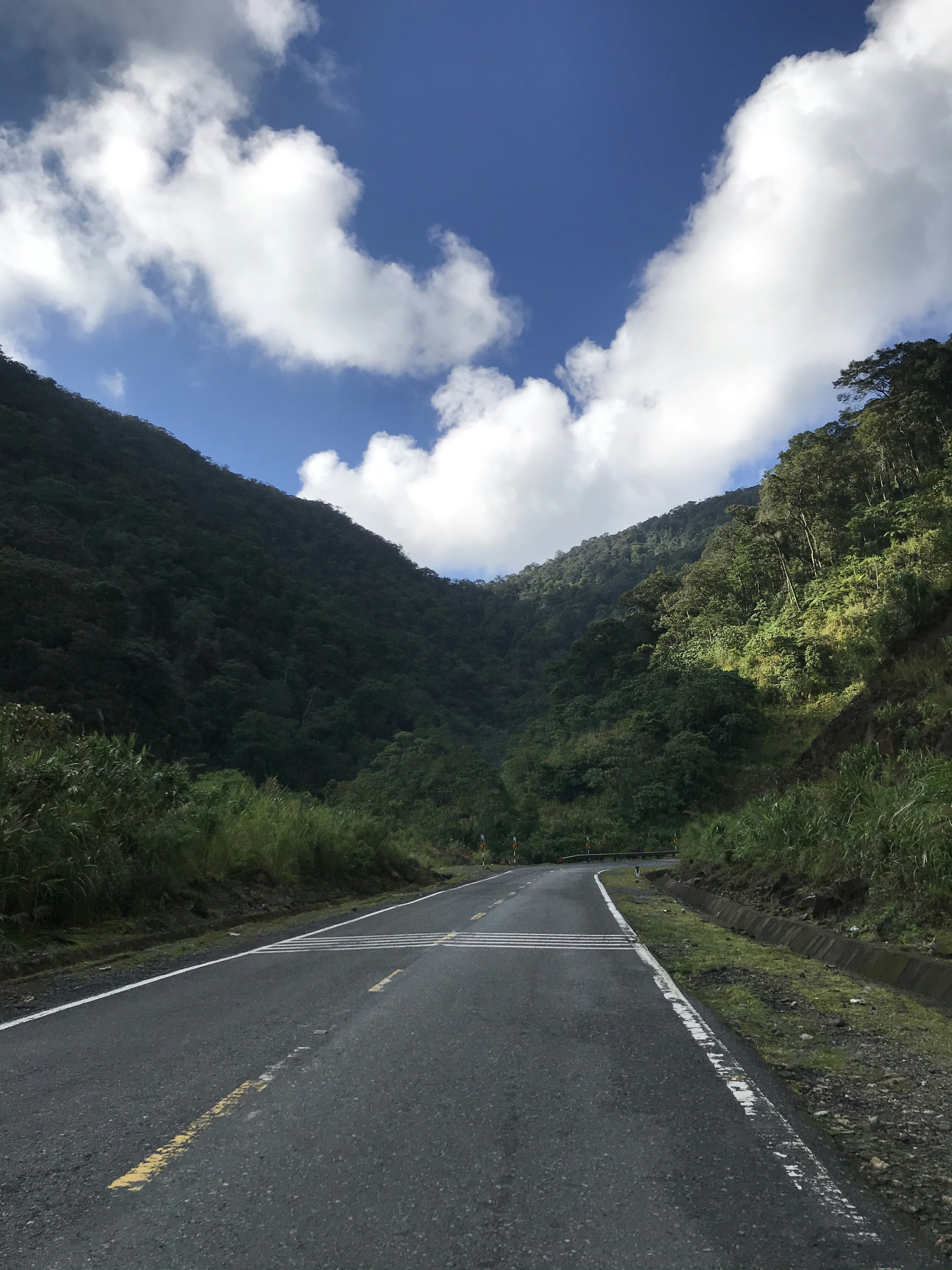 Photo by alittlegirl