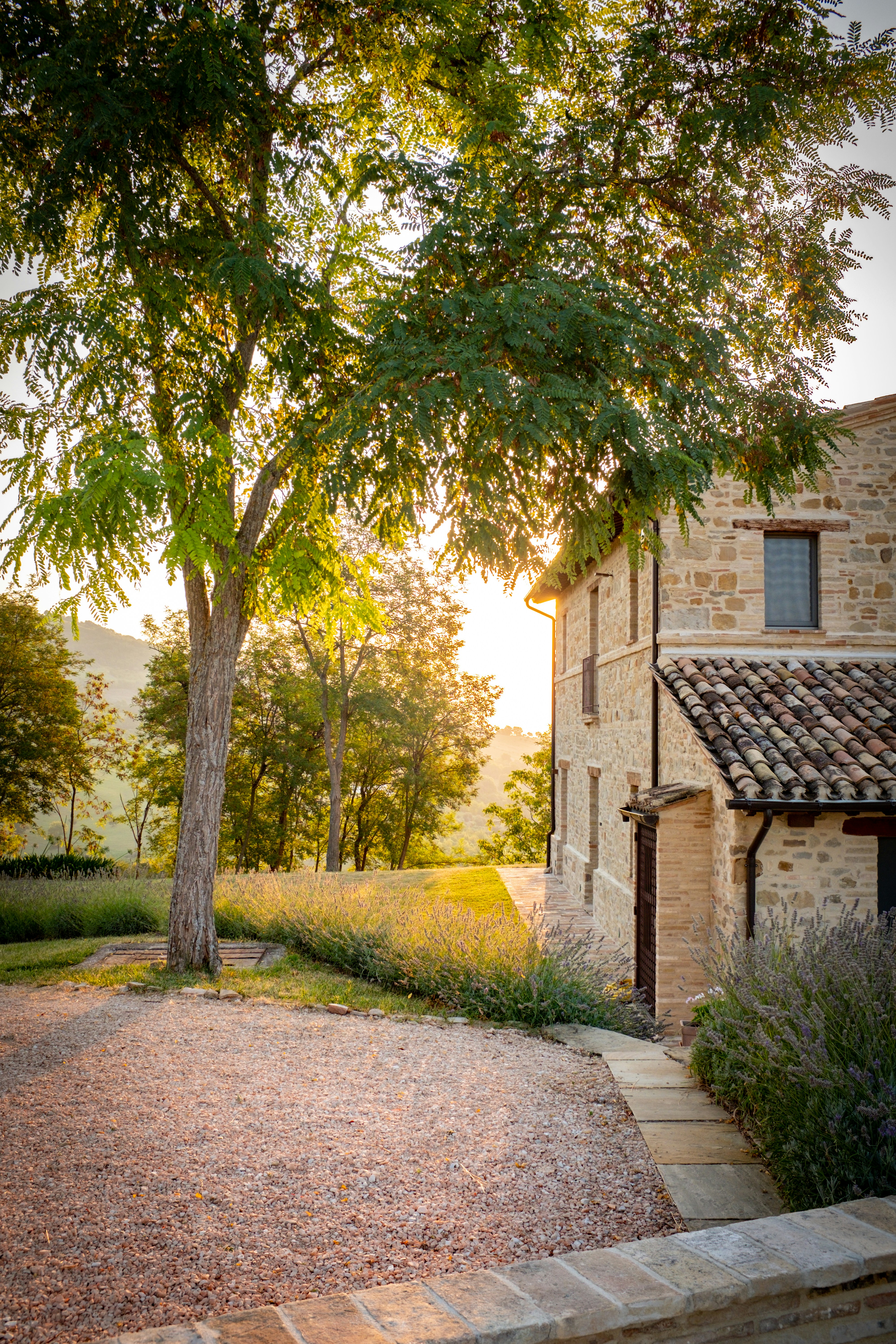 Photo by bernardhermant