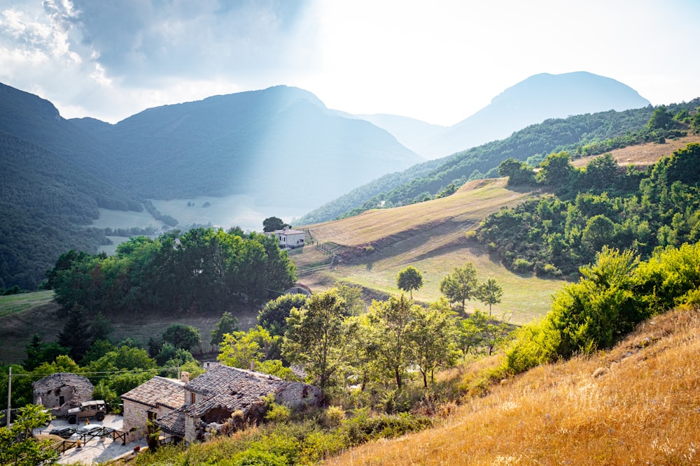 alberi verdi sulla montagna sotto nuvole bianche durante il giorno