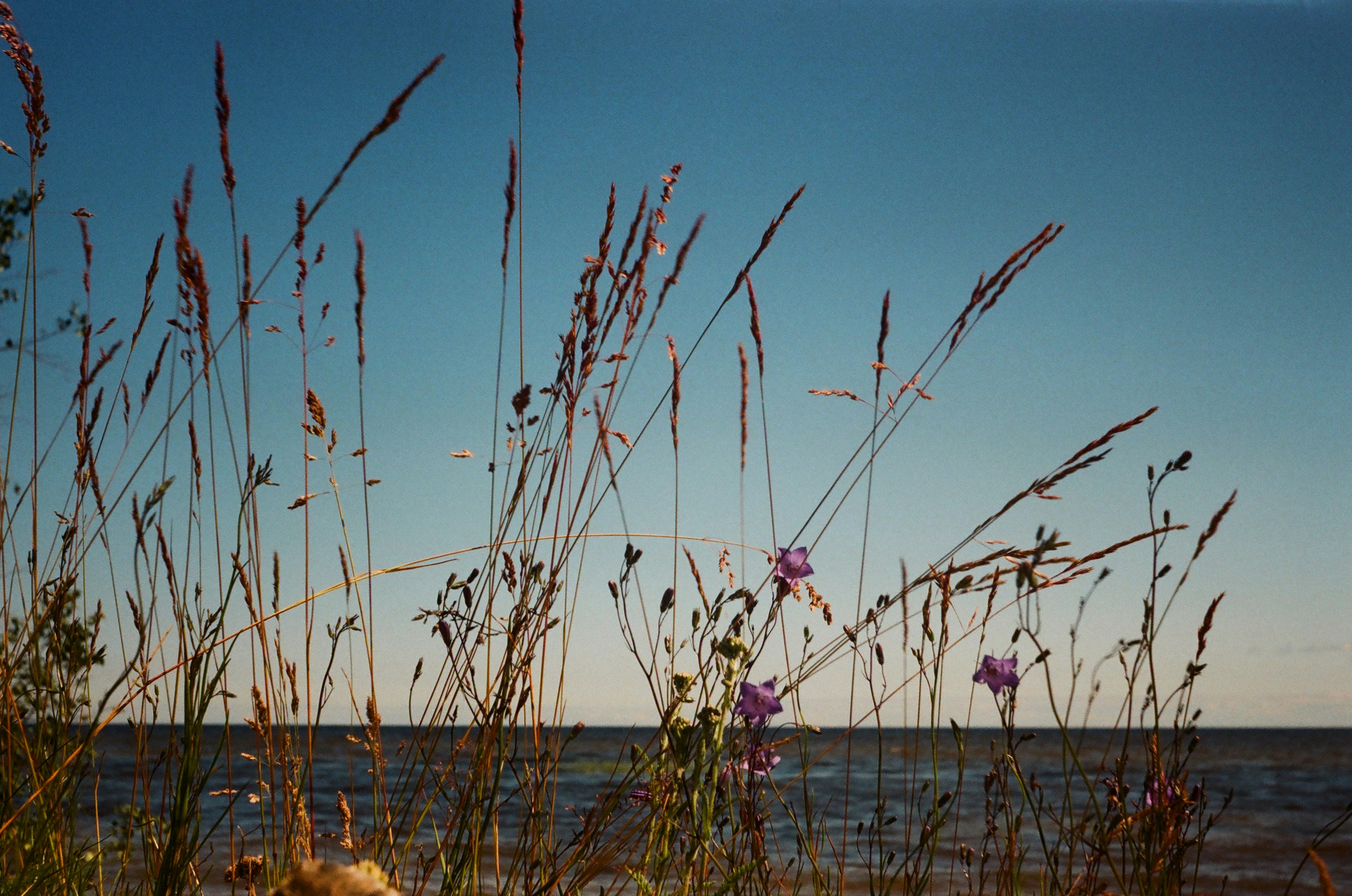 Photo by mammoth_beth