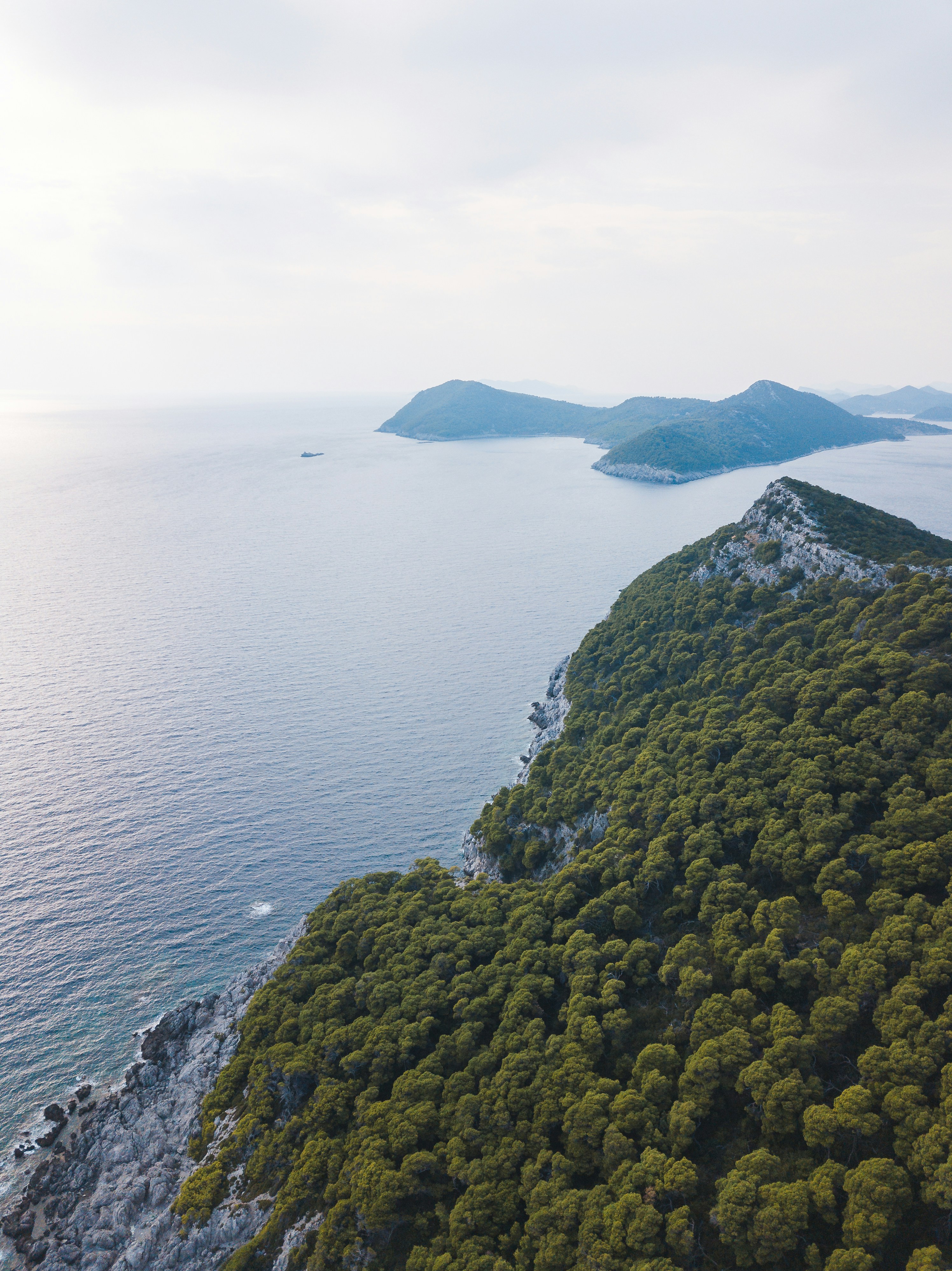 Photo by tish_harris