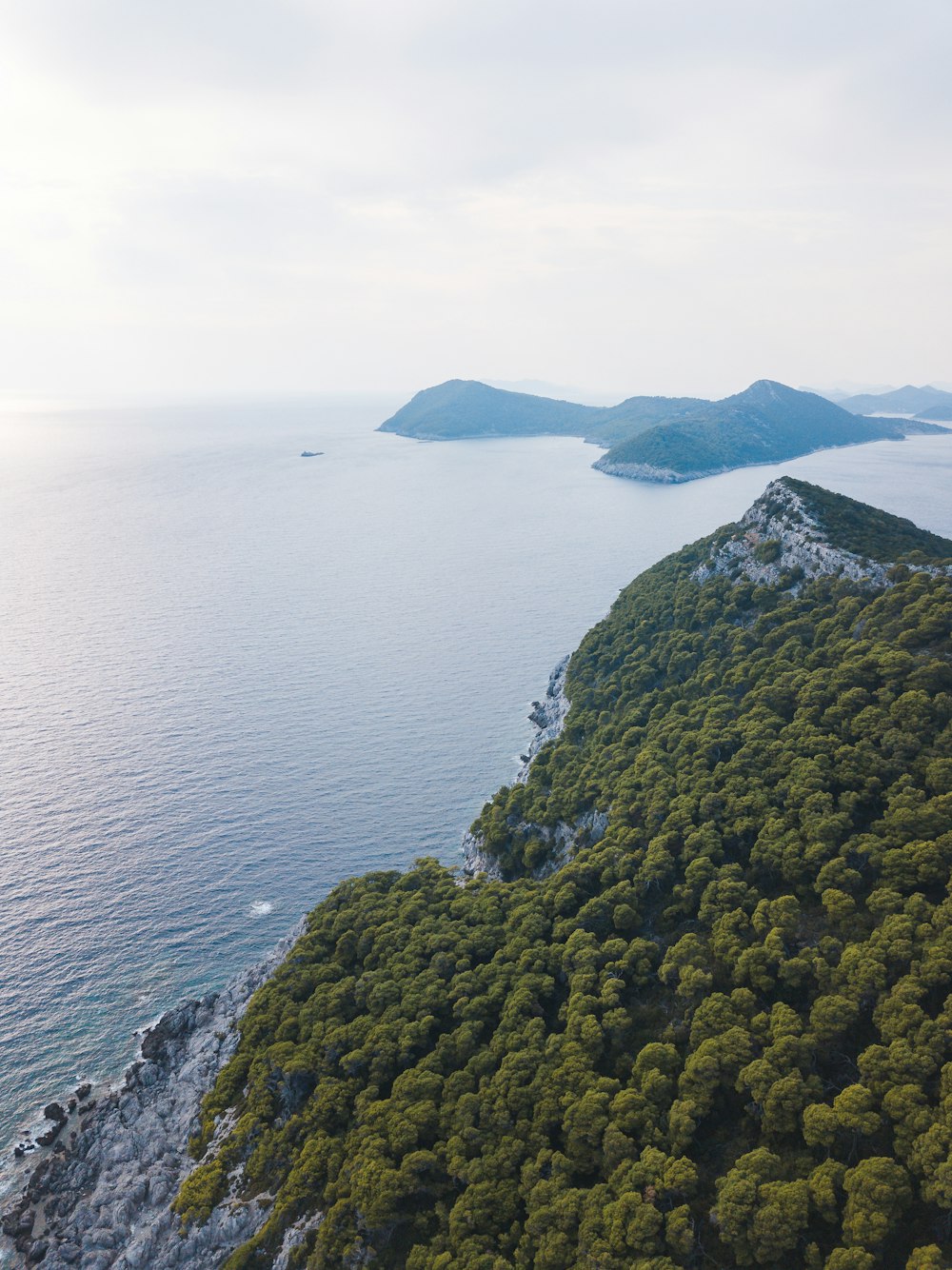 green moss covered rock formation by the sea during daytime