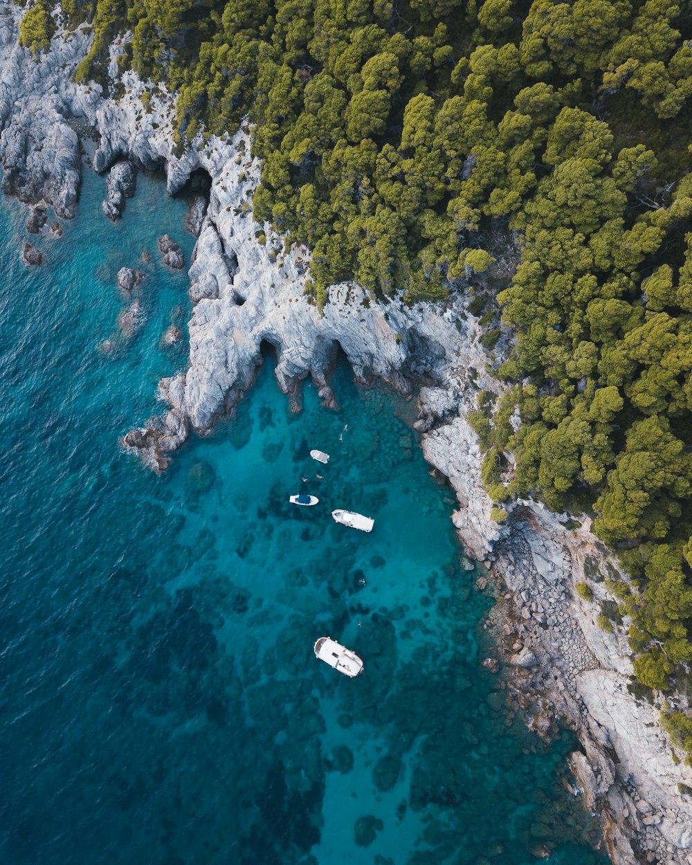 aerial view of two person swimming on blue body of water during daytime