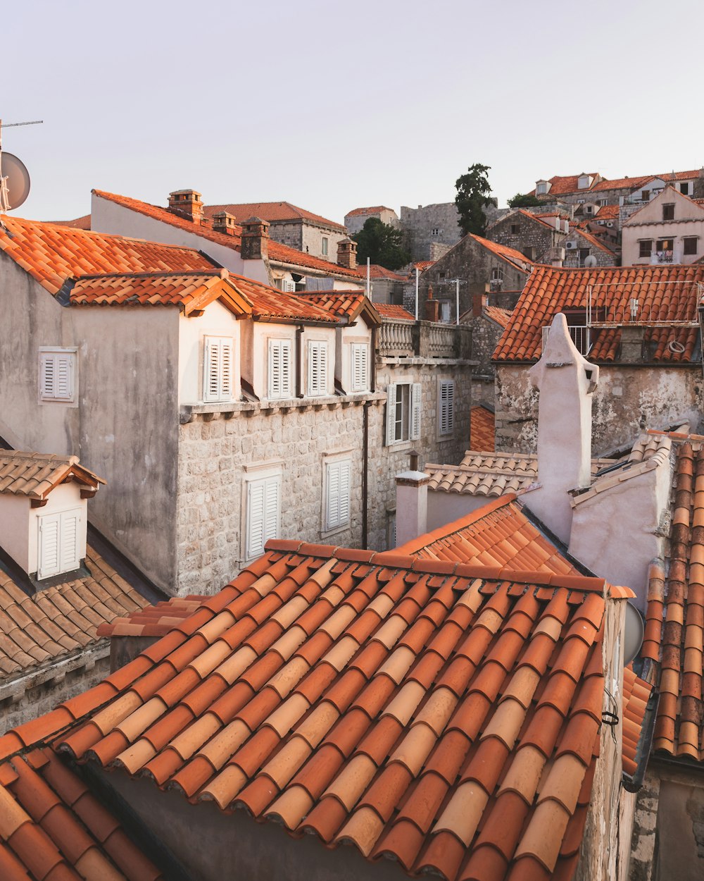 white and brown concrete houses