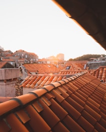 brown roof tiles during daytime