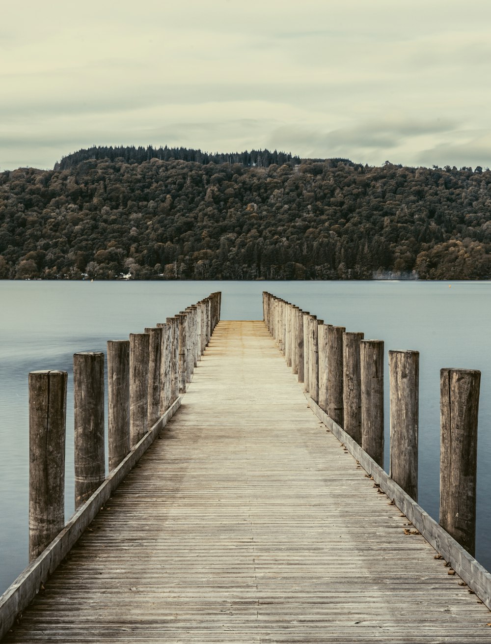 brown wooden dock on lake during daytime