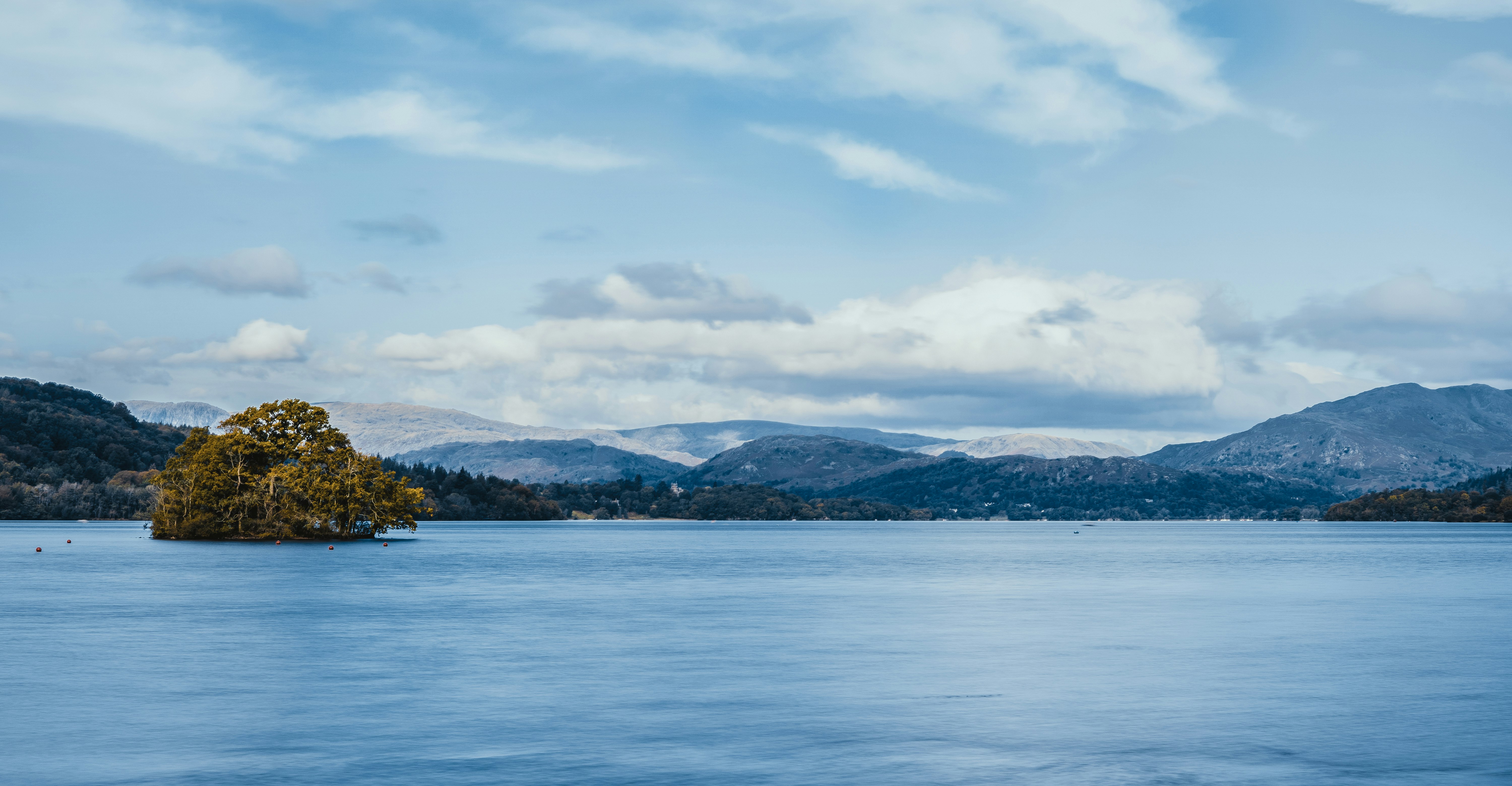 green trees near body of water under white clouds during daytime